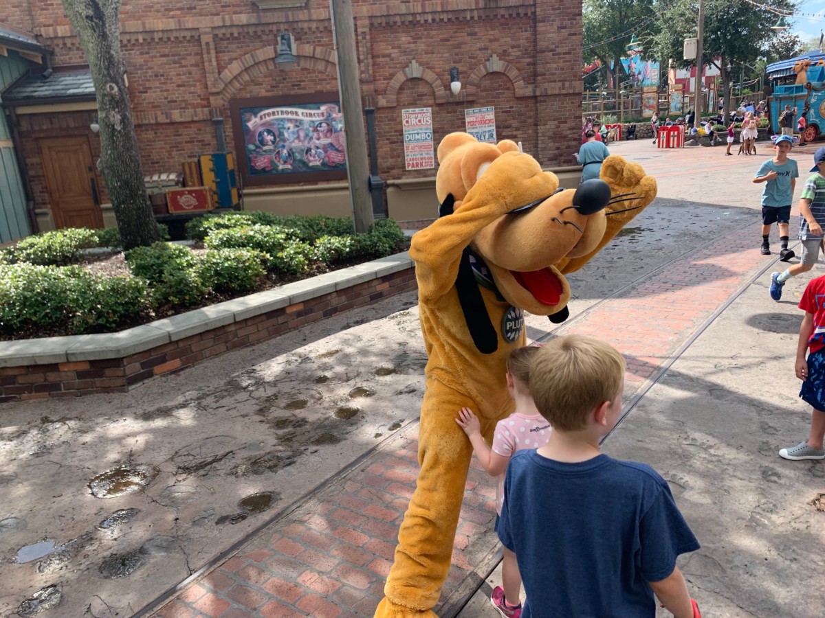 pluto roaming storybook circus magic kingdom