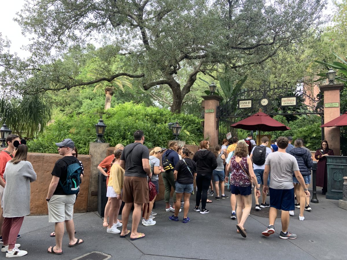 Tower of Terror Long Line
