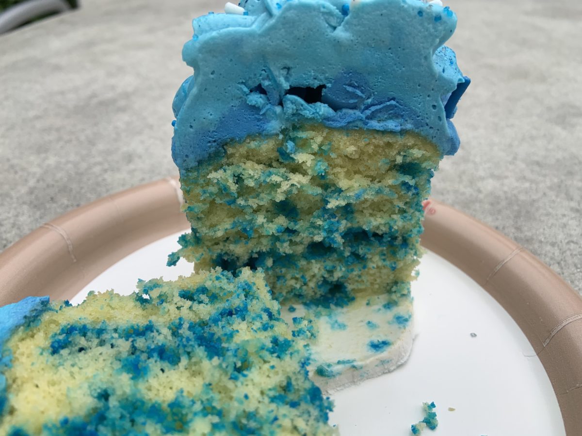 Frozen Fractals cupcake at All Star Movies (9)