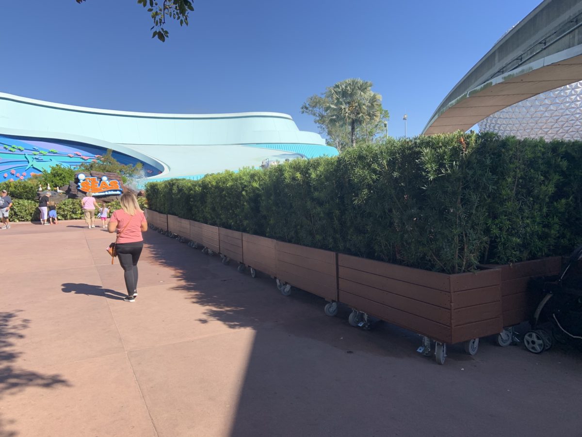 Planters by The Seas 11/21/19 2