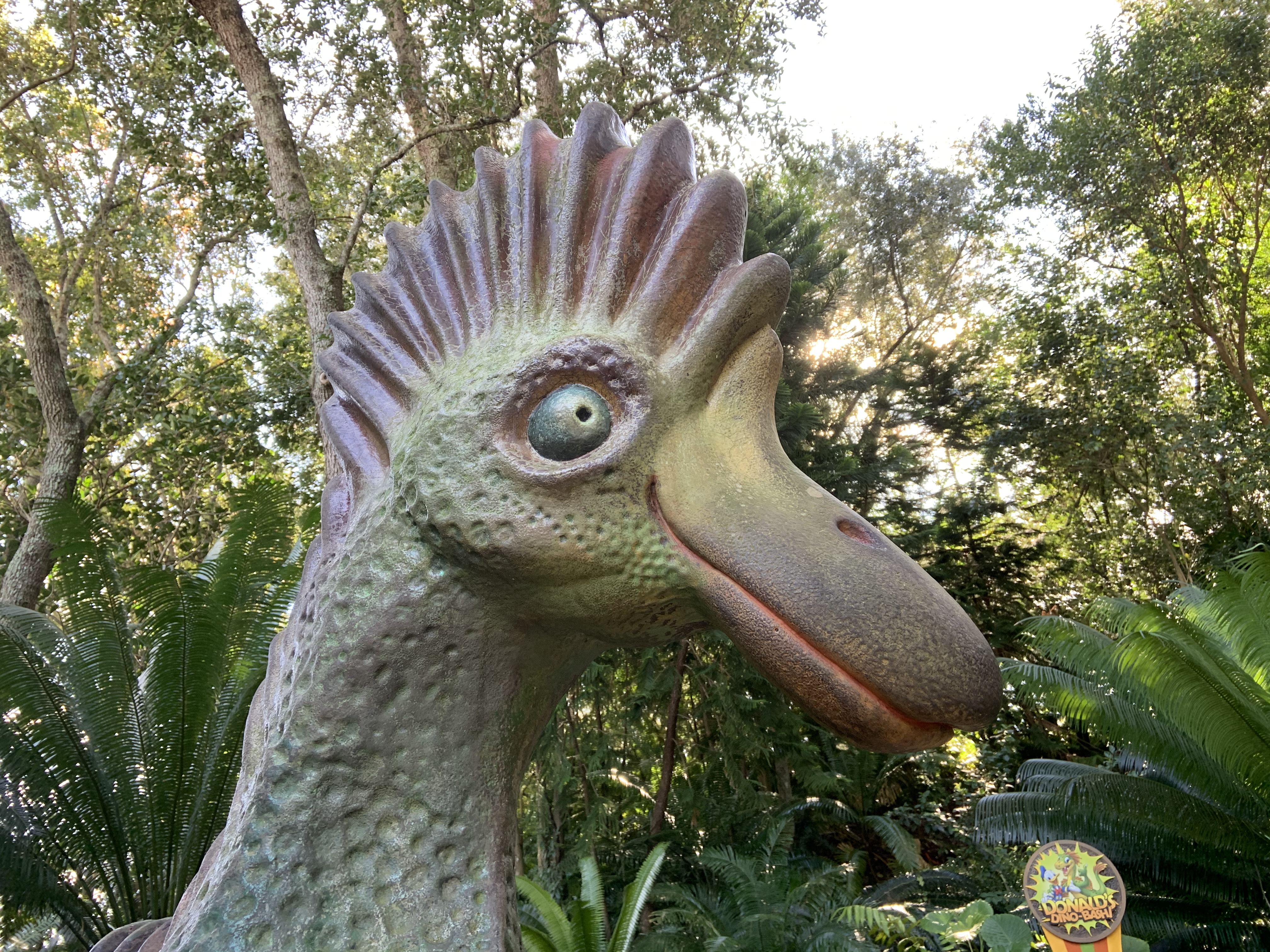 Dino from Dinoland
