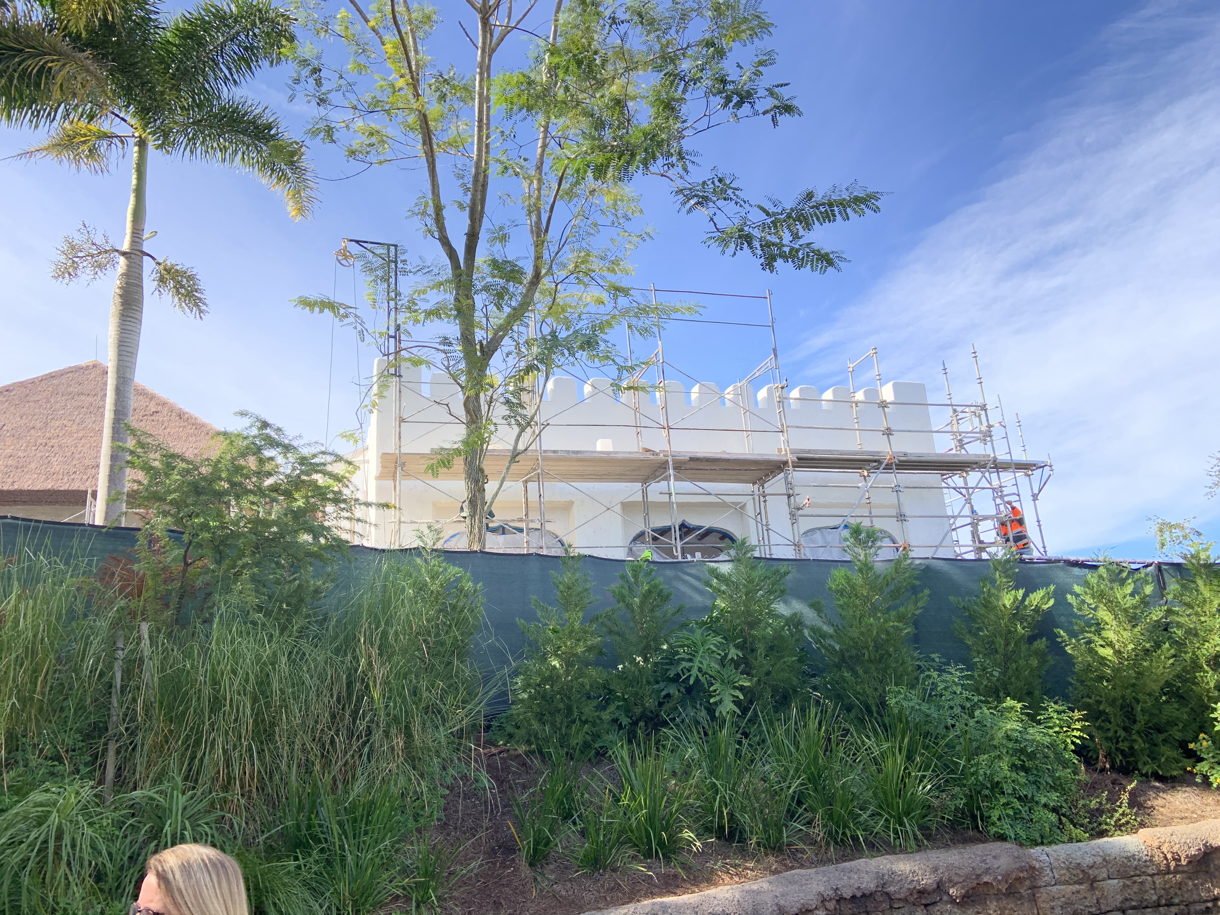 Animal Kingdom Club 33 11/25/19 4
