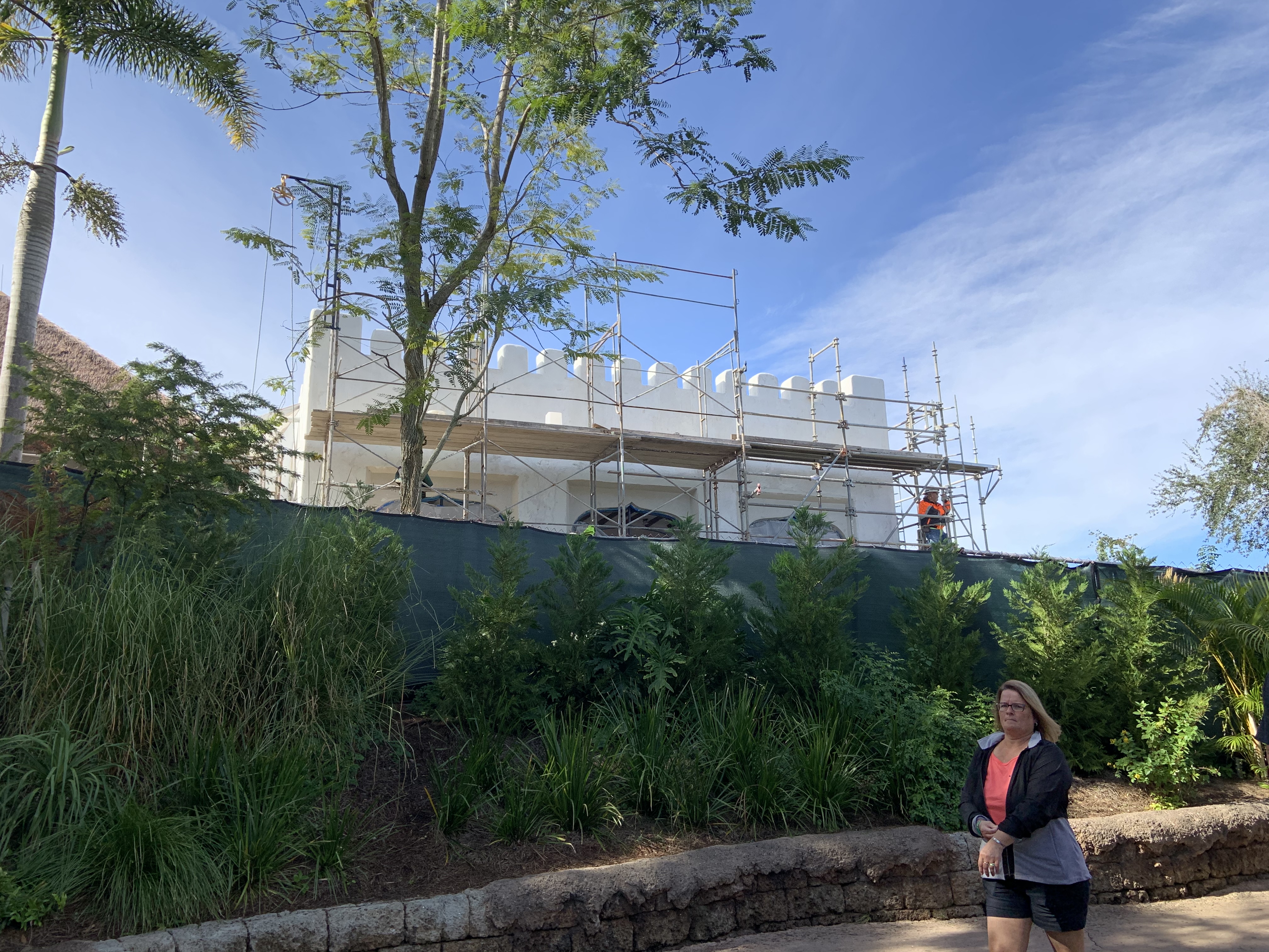 Animal Kingdom Club 33 11/25/19 3