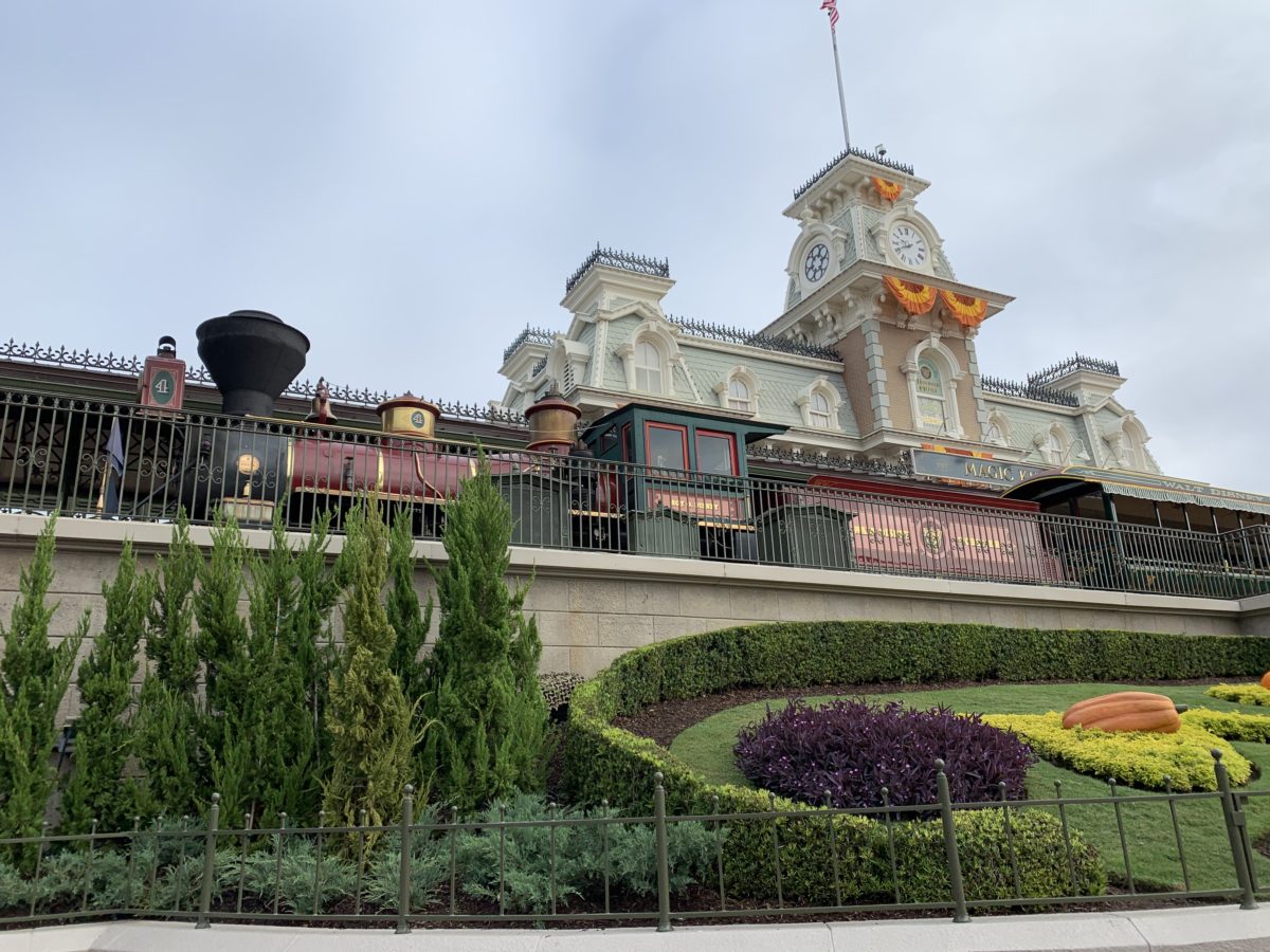 Magic kingdom