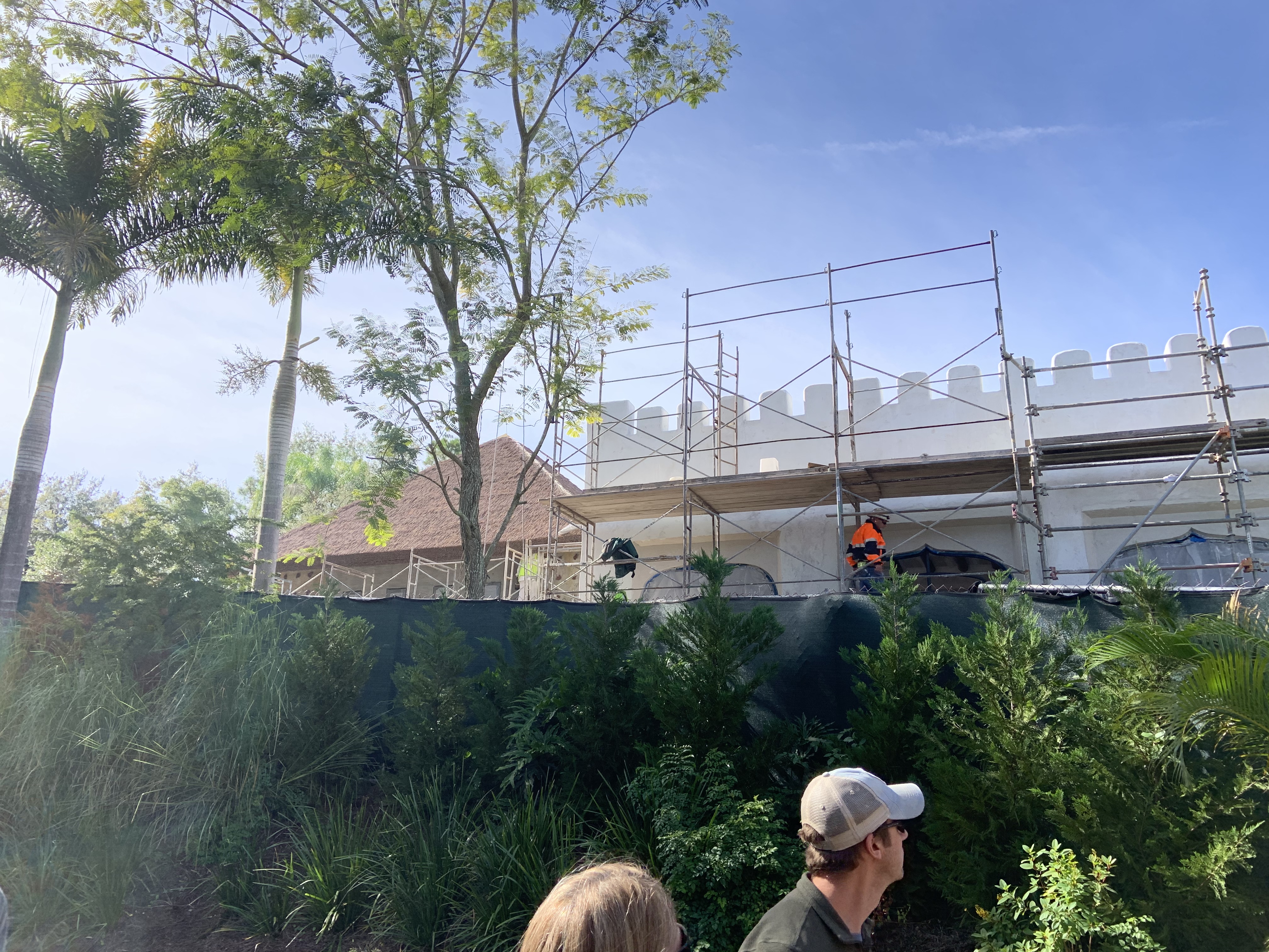 Animal Kingdom Club 33 11/25/19 5