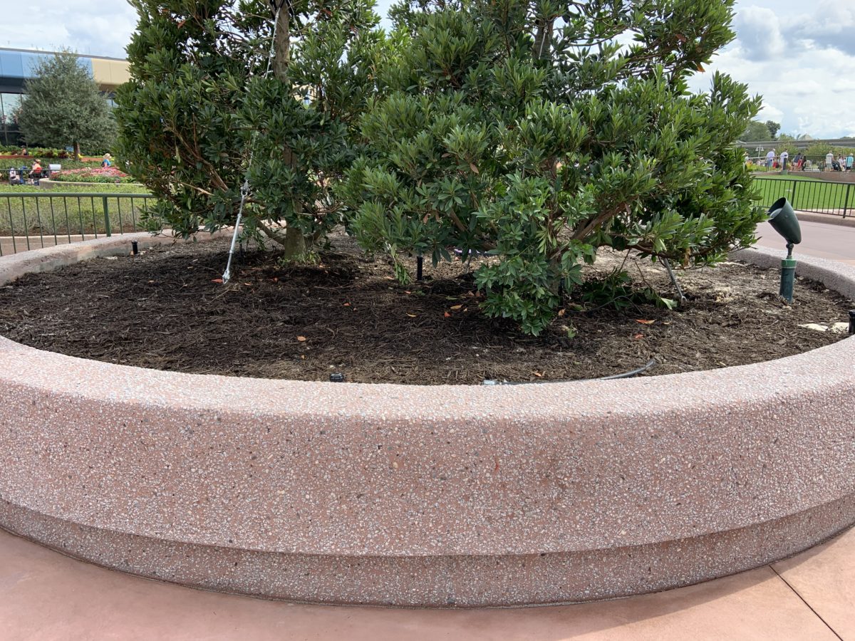New planter by Journey into Imagination (4)