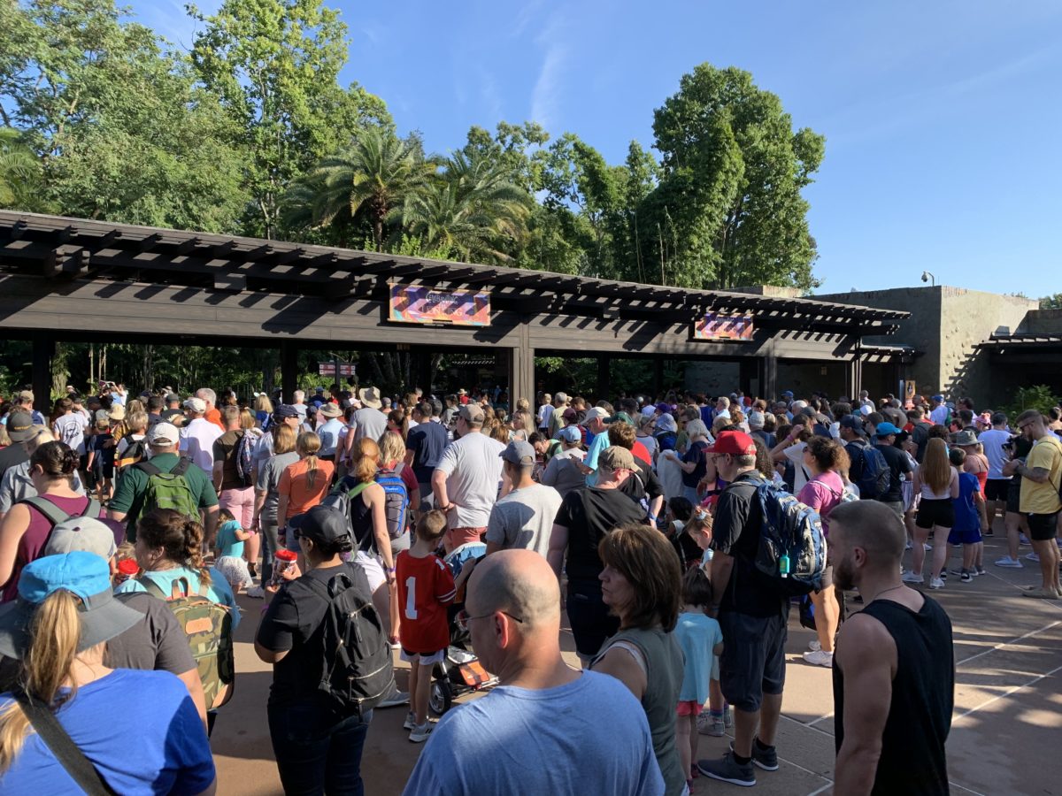 DAK Crowds