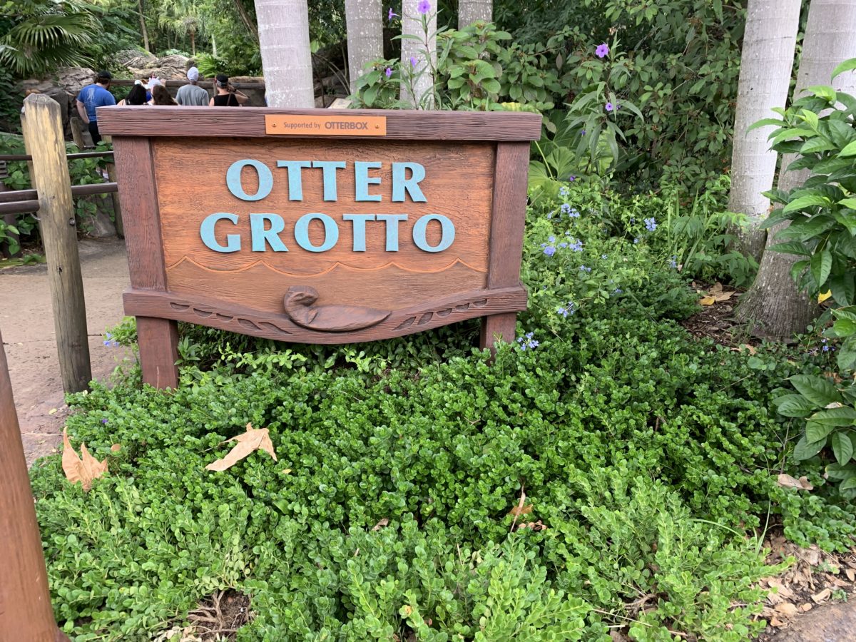 Otter grotter