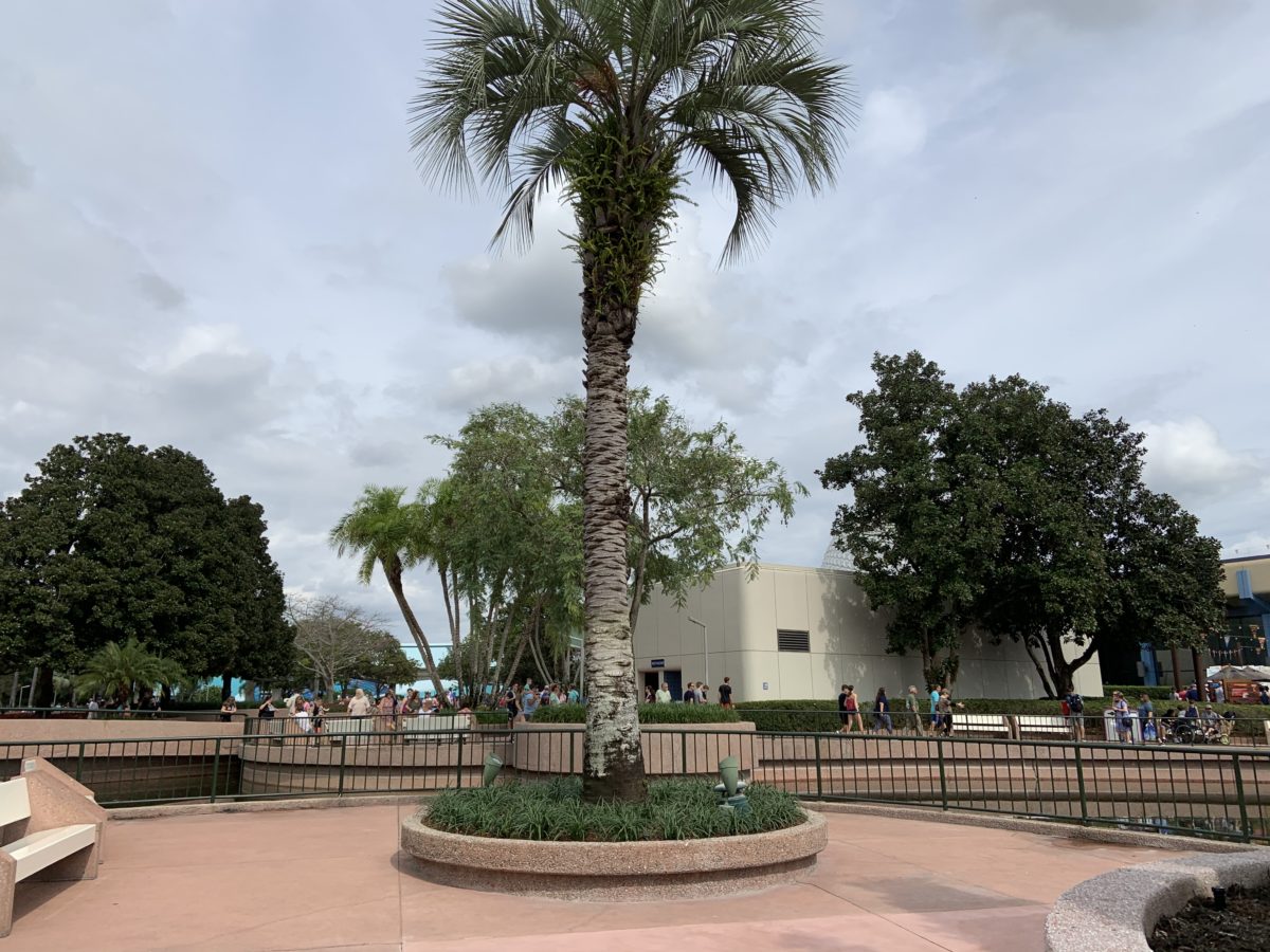 New planter by Journey into Imagination (2)