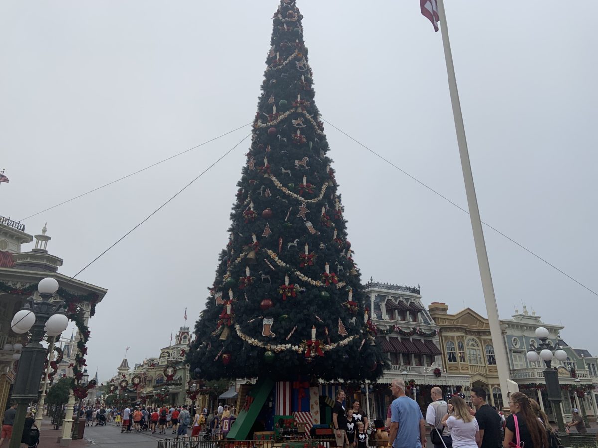 Main Street Christmas Decorations 11/6/19 (7)