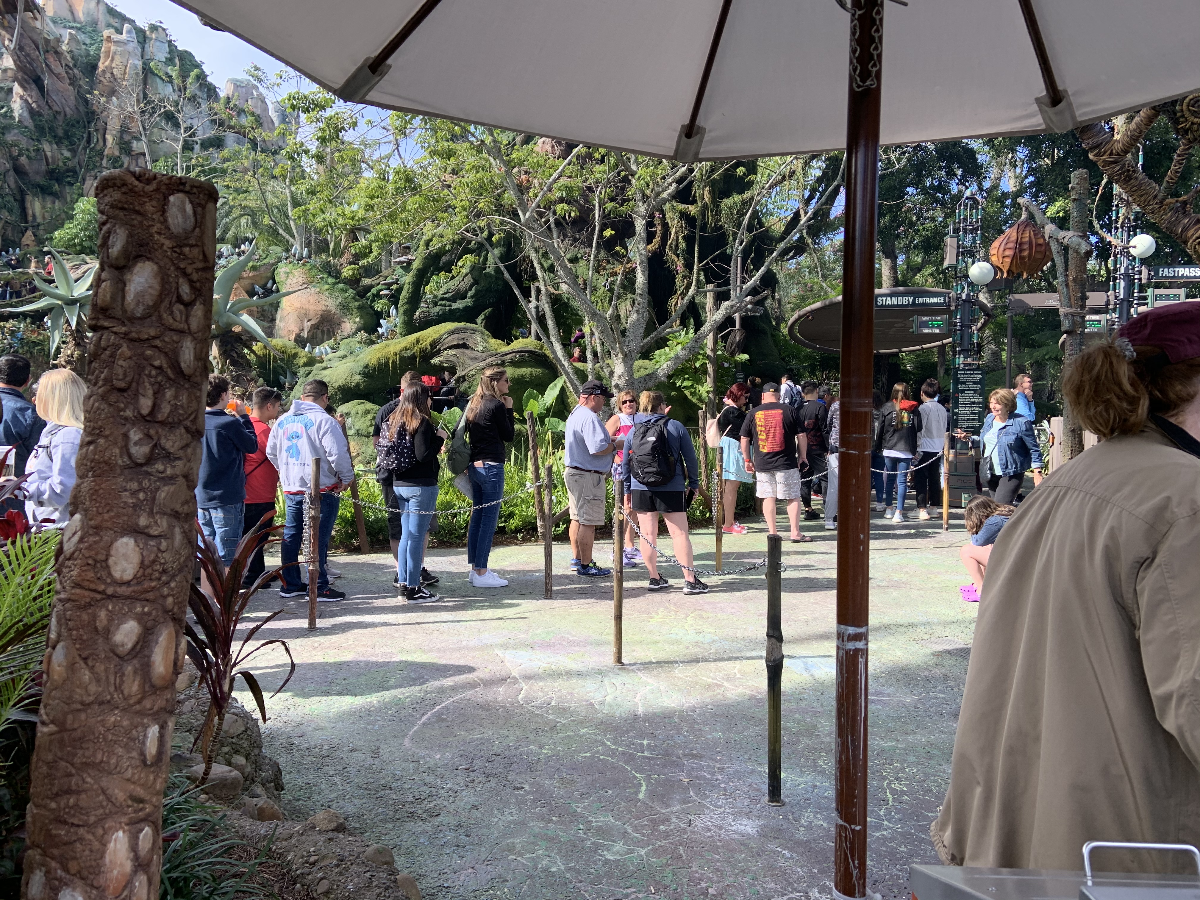 Kilimanjaro Safari wait time 11/25/19 2
