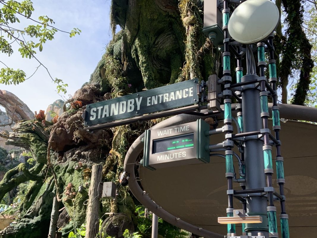 Flight of Passage wait 11/25/19