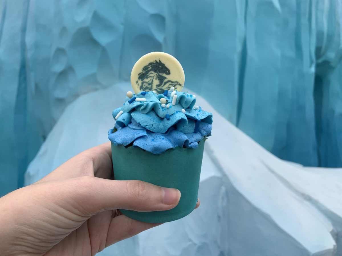 Frozen Fractals cupcake at All Star Movies (1)