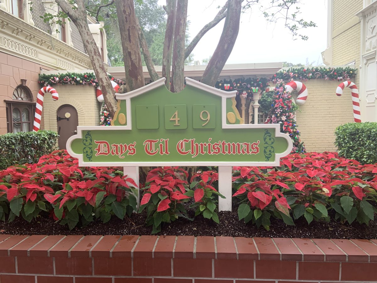 Main Street Christmas Decorations 11/6/19 (4)