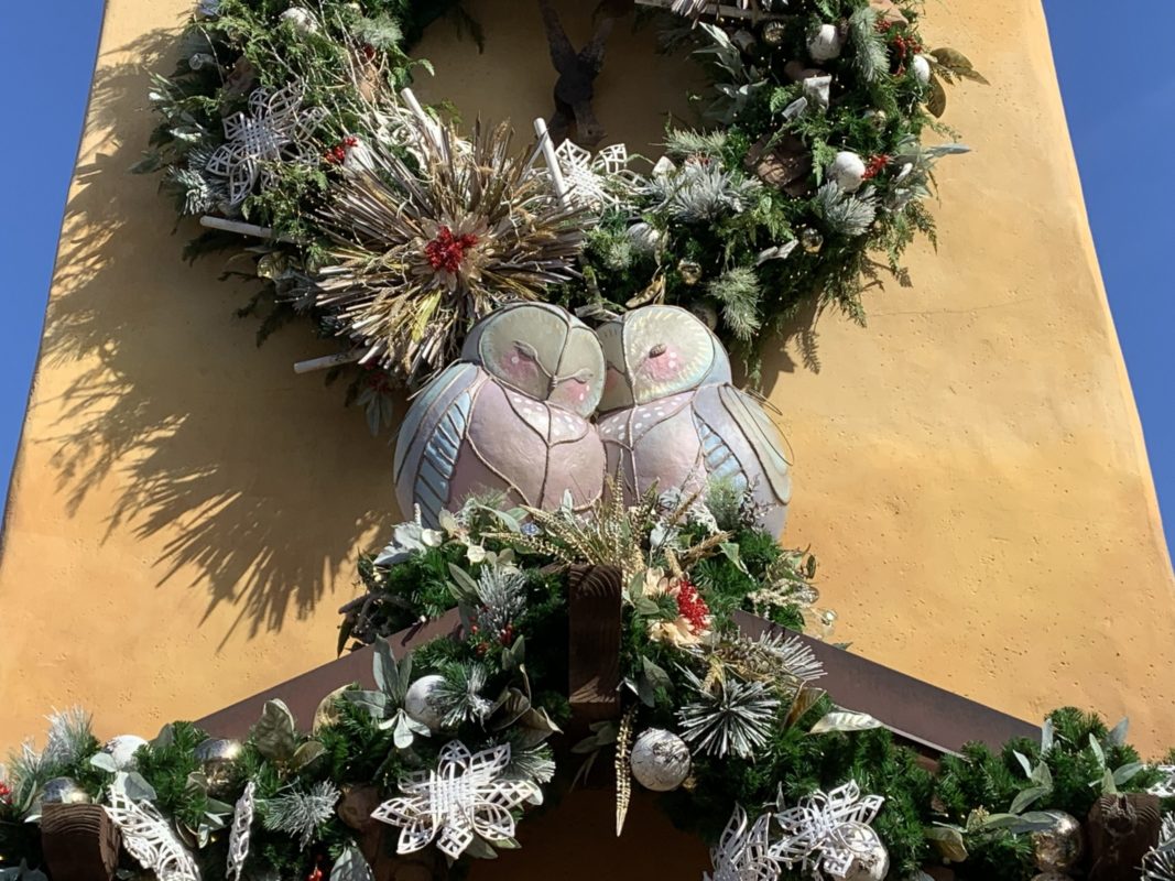 Owl lanterns Animal Kingdom 11/25/19 4