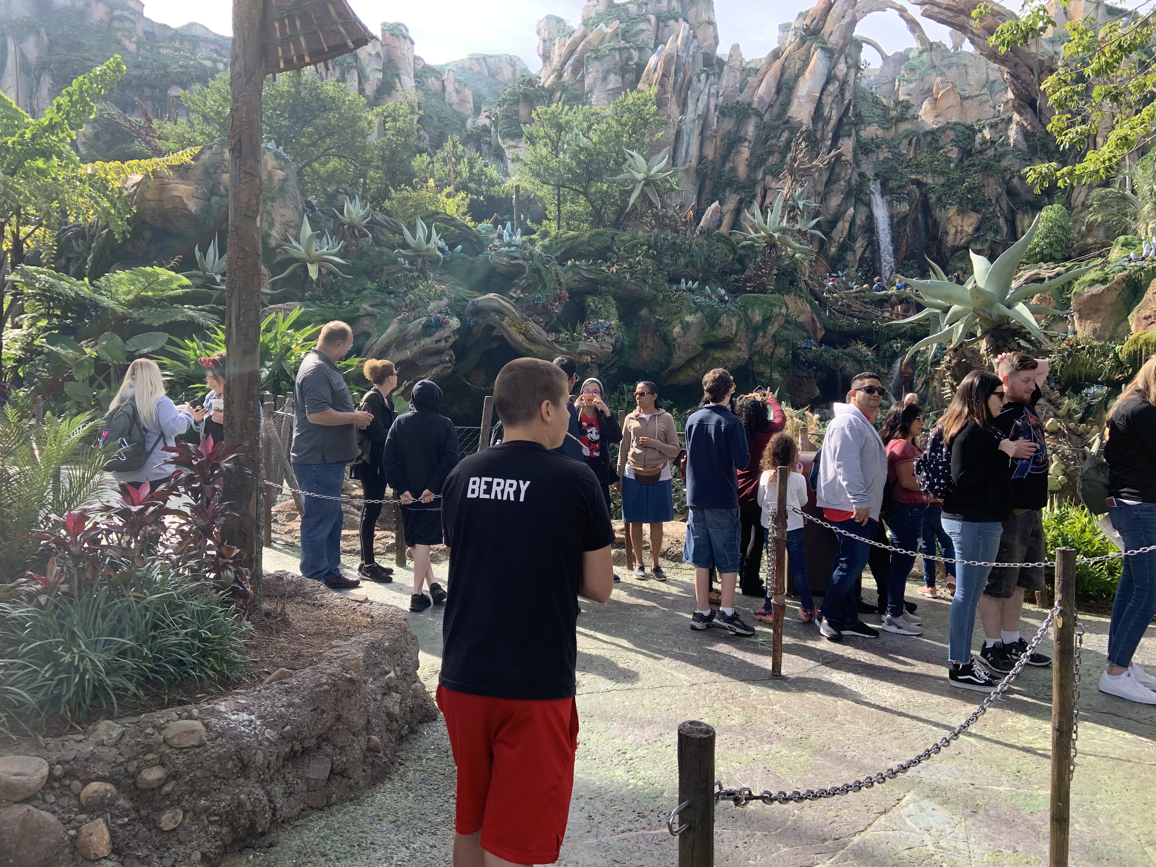 Kilimanjaro Safari wait time 11/25/19 3