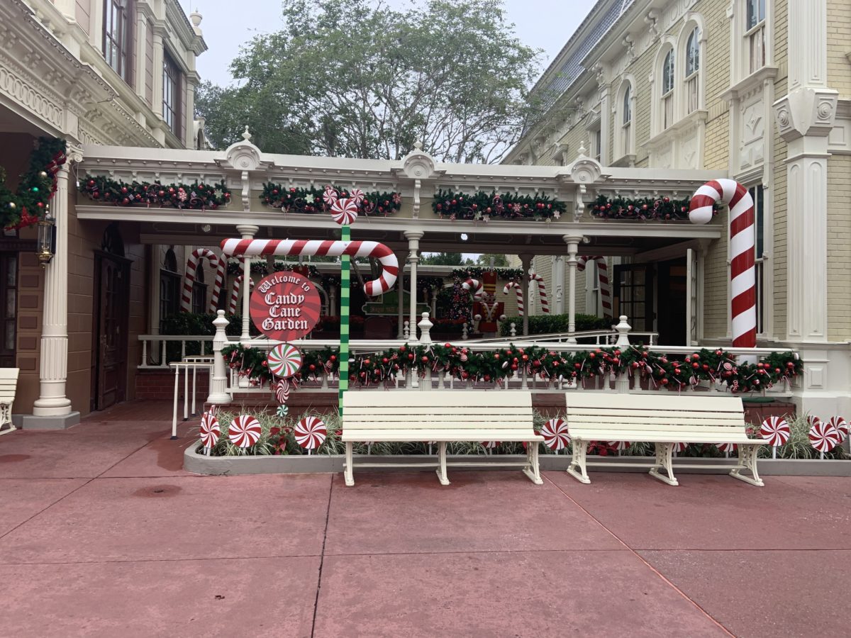 Main Street Christmas Decorations 11/6/19 (3)
