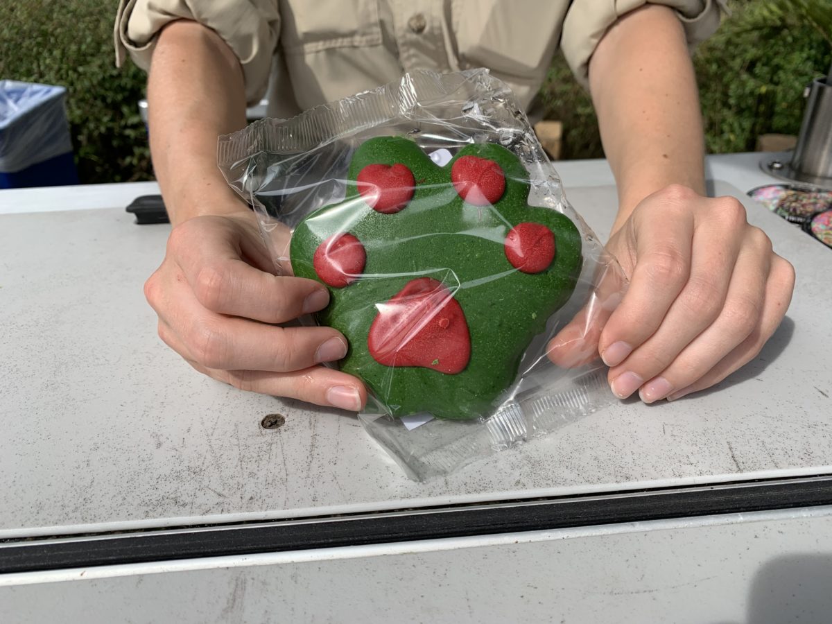 Lion paw cookie