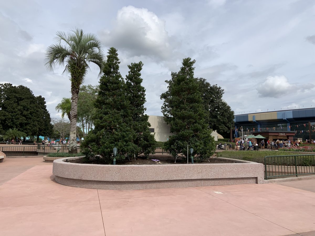 New planter by Journey into Imagination (5)