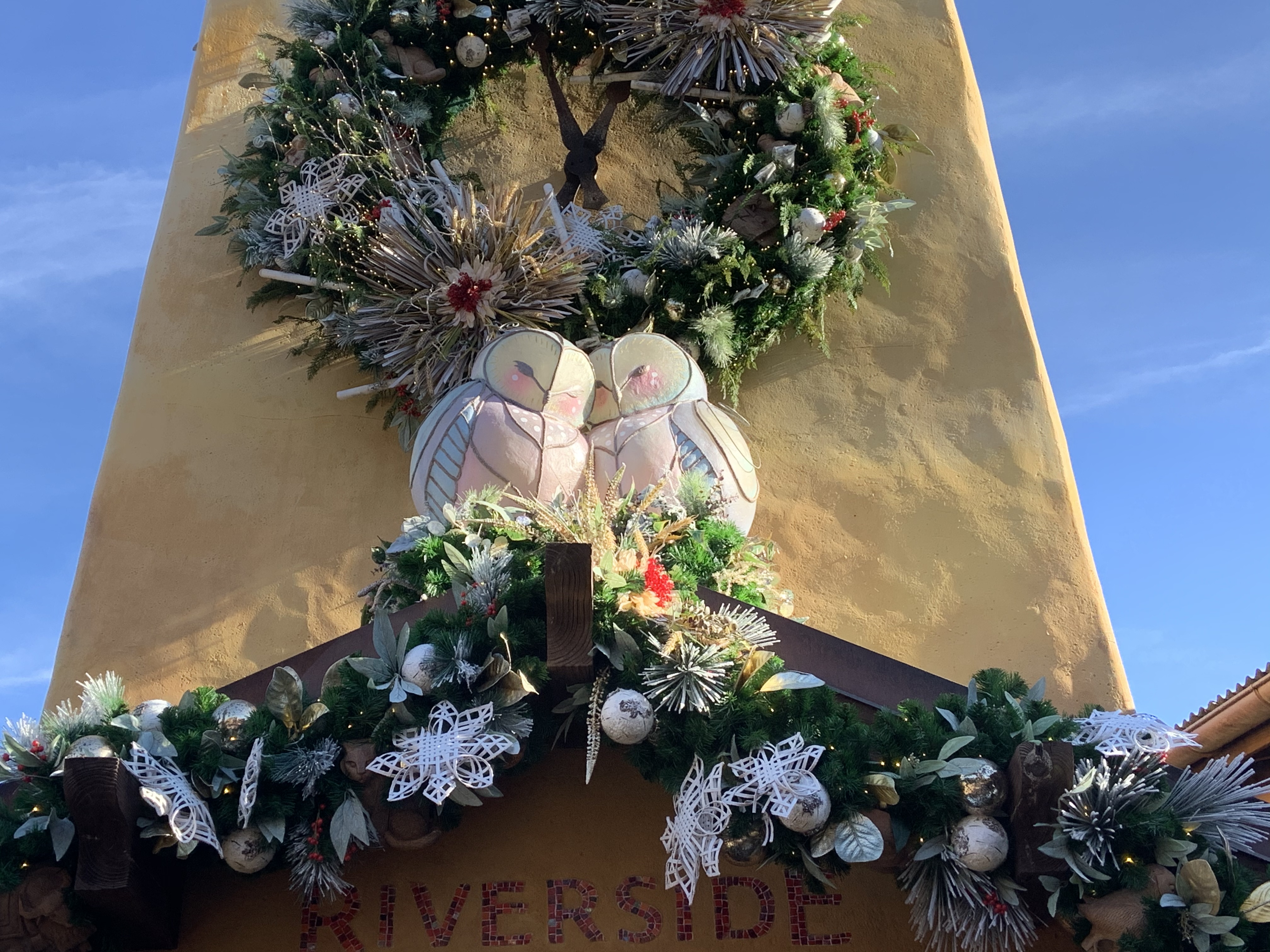 Owl lanterns Animal Kingdom 11/25/19 2