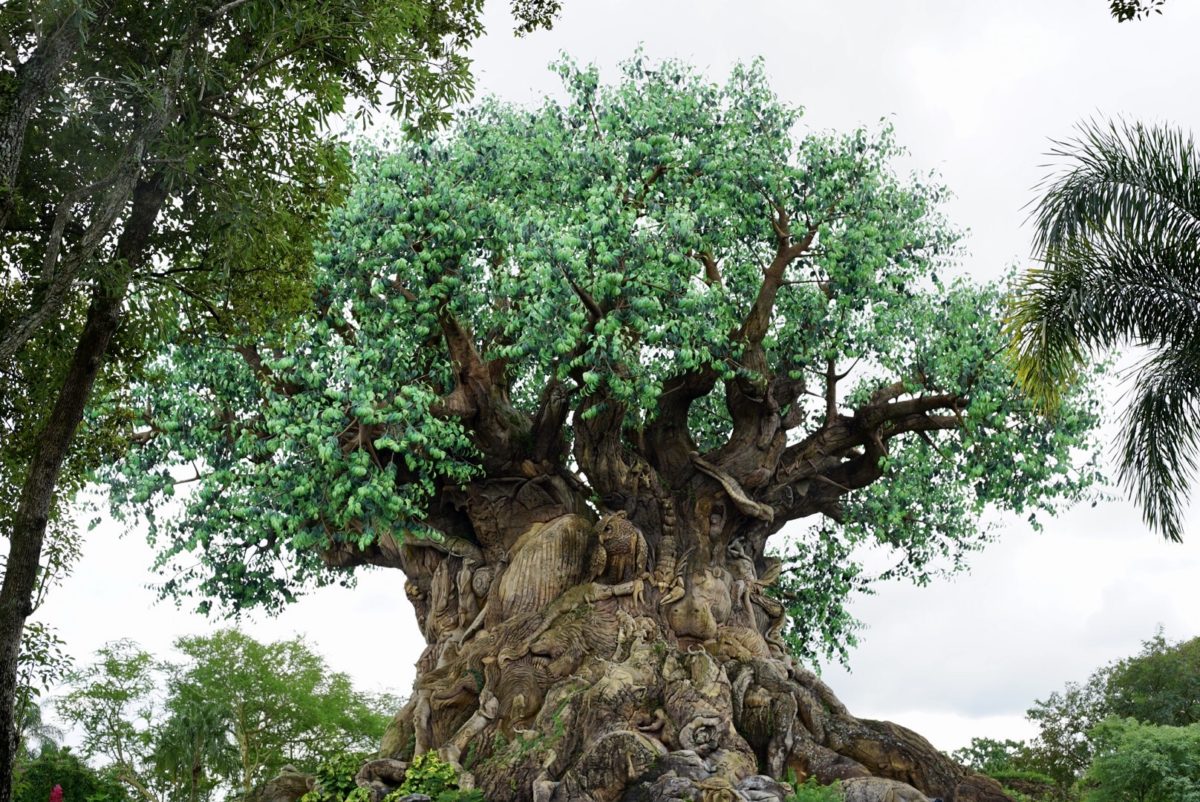 Tree of Life