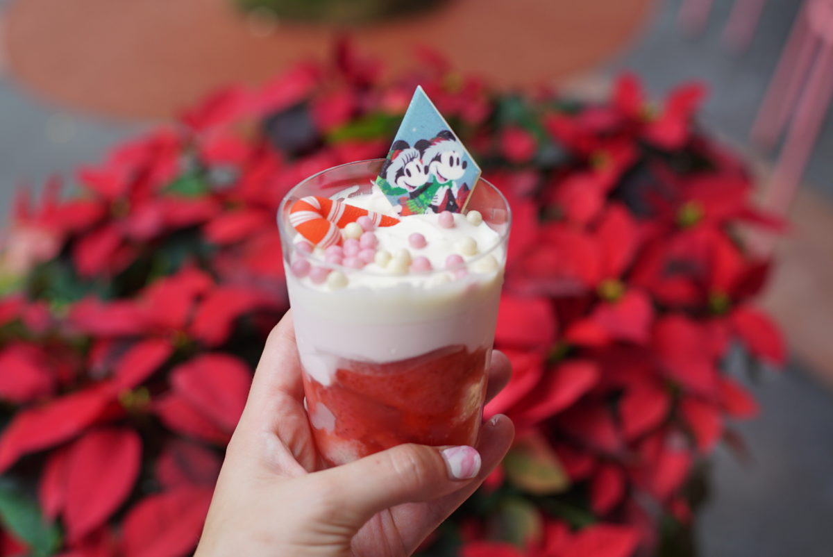 Strawberry Mint Verrine