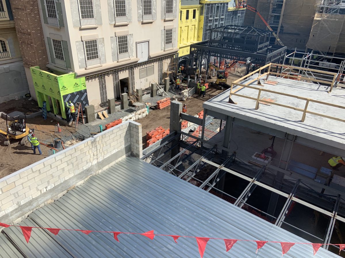 Remy’s Ratatouille Adventure 11/11/19 (5)