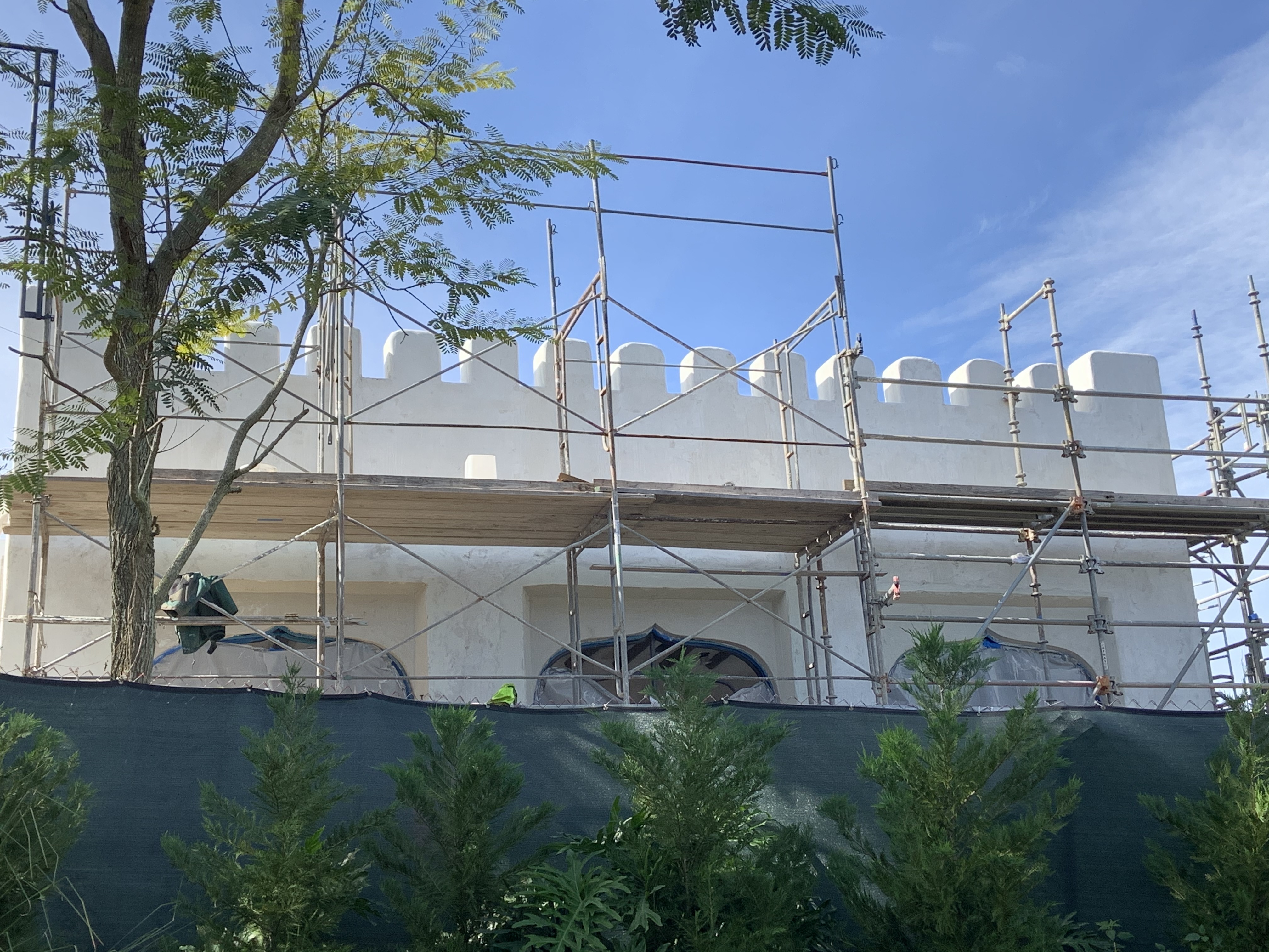 Animal Kingdom Club 33 11/25/19 6