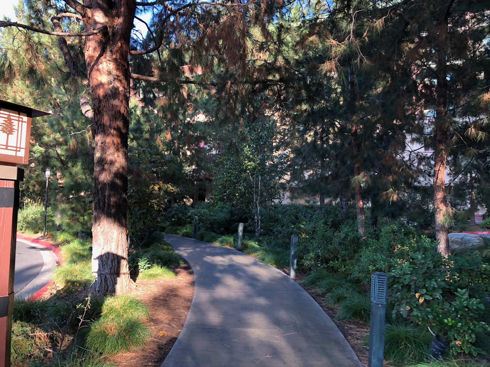 disney grand Californian hotel
