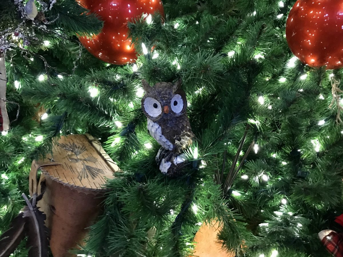 wilderness lodge christmas