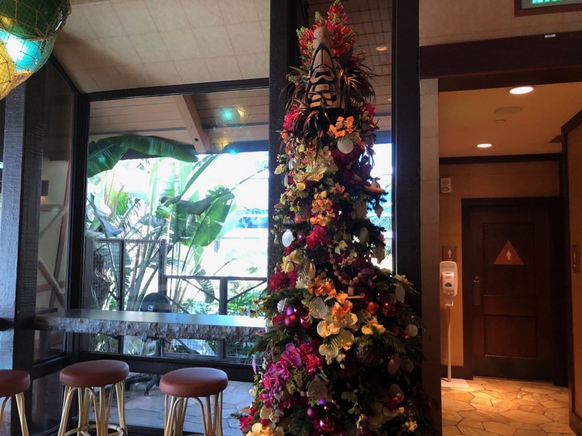 tangaroa terrace