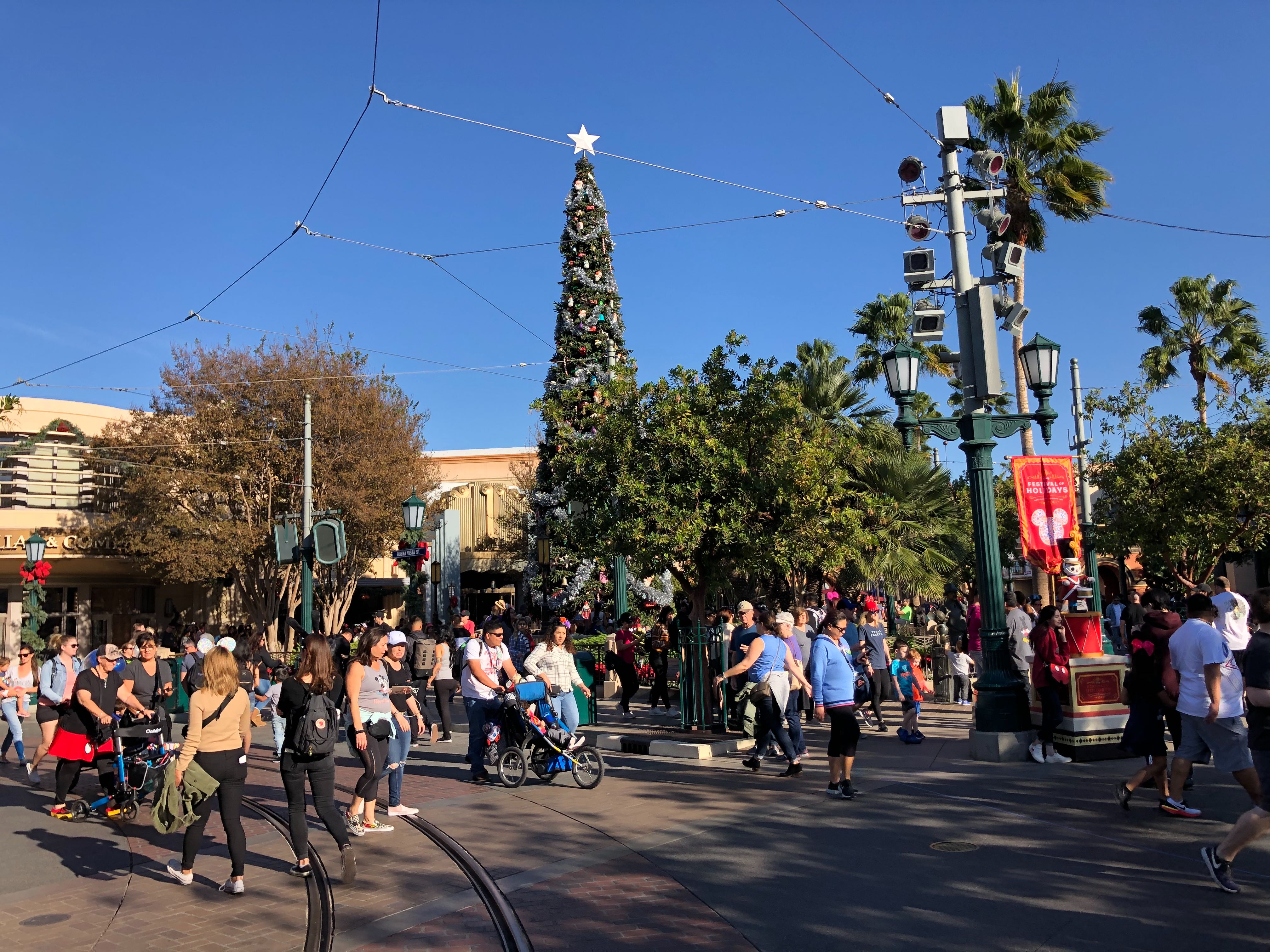 dca Christmas tree