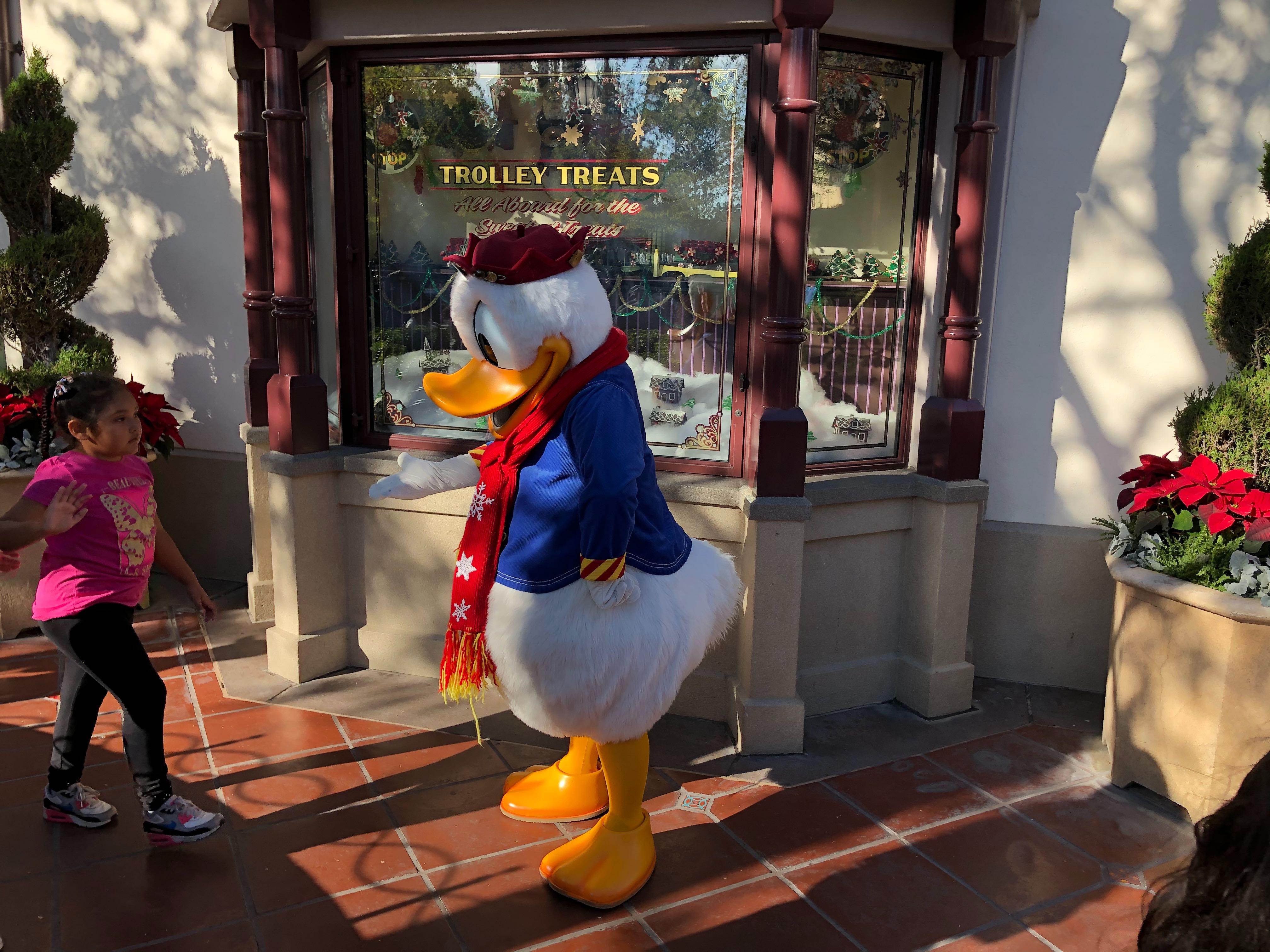 Donald Duck dca Christmas