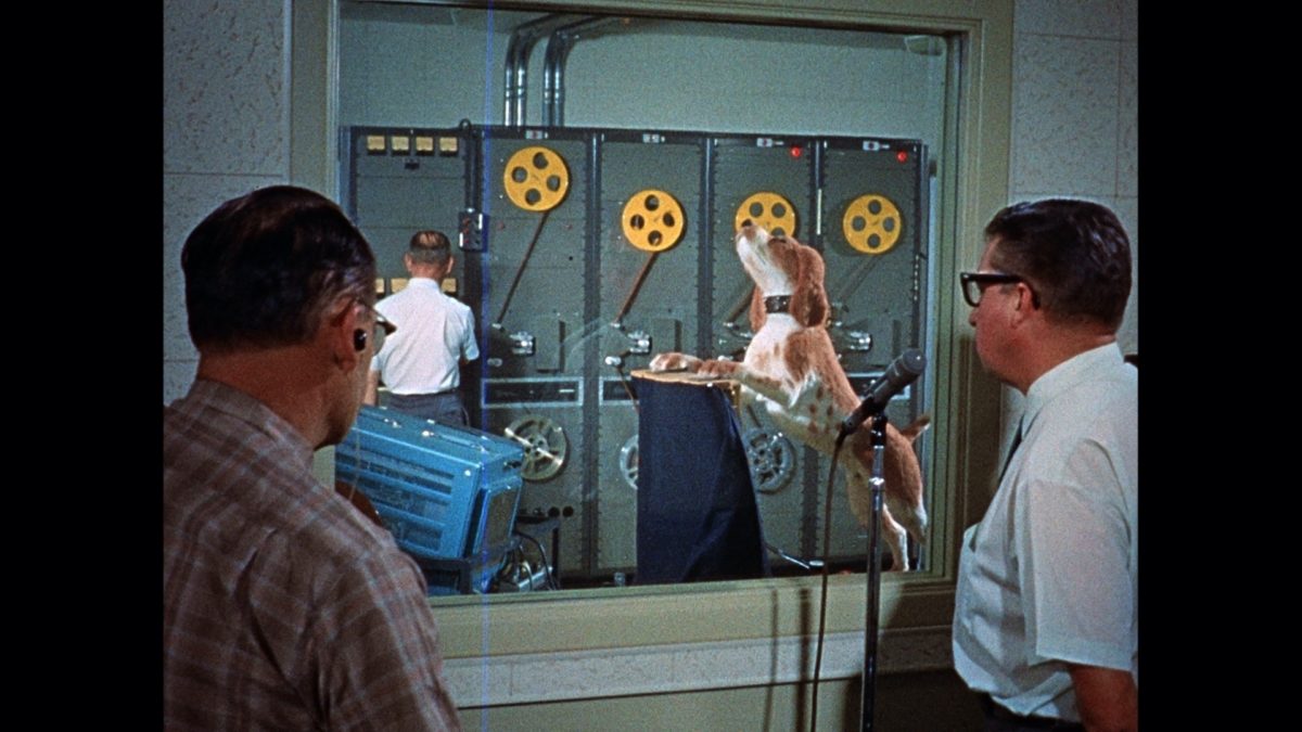 Episode 2 of The Imagineering Story - "What Would Walt Do" Premieres on ...