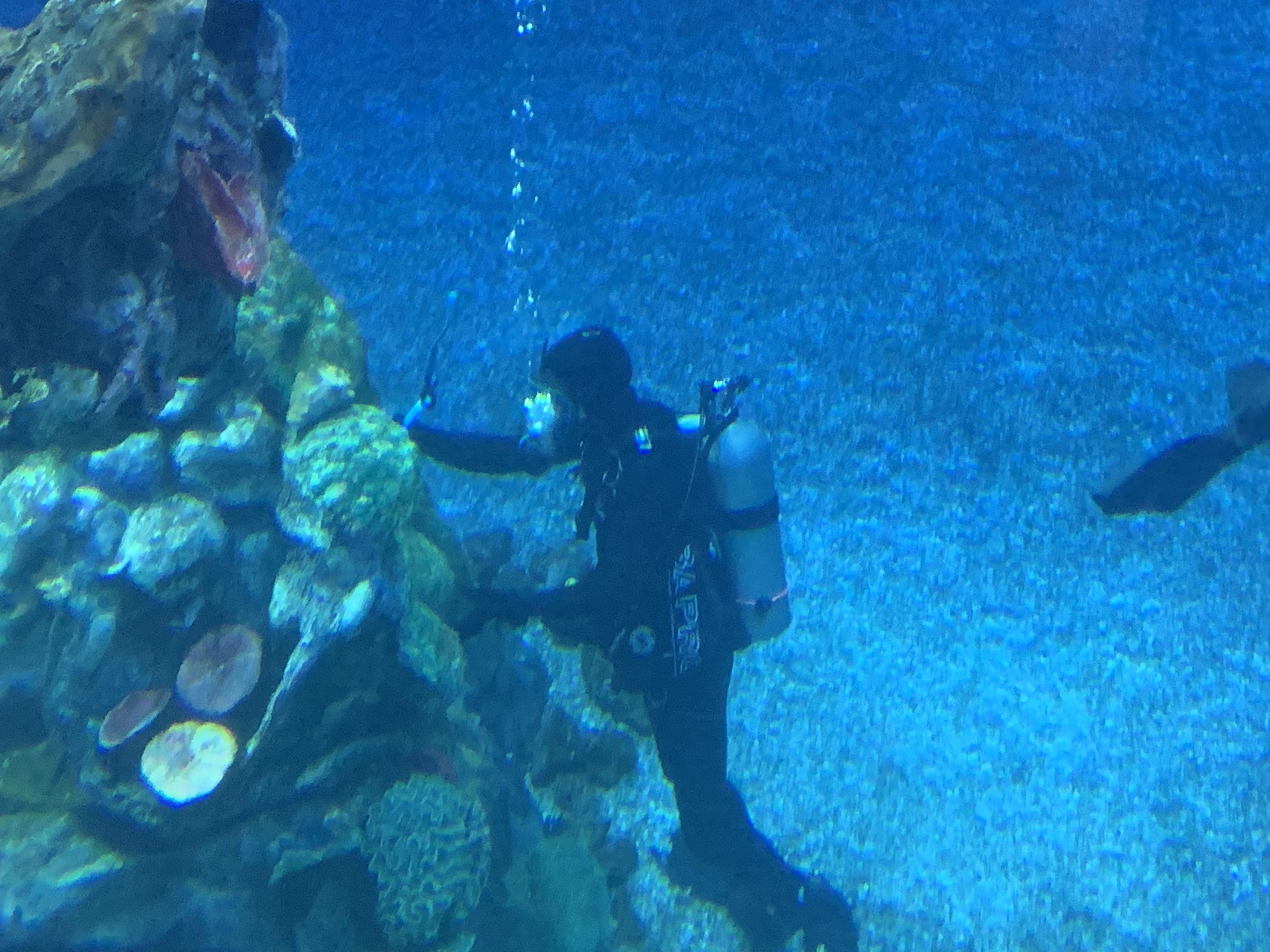 The seas 12/23/19 3