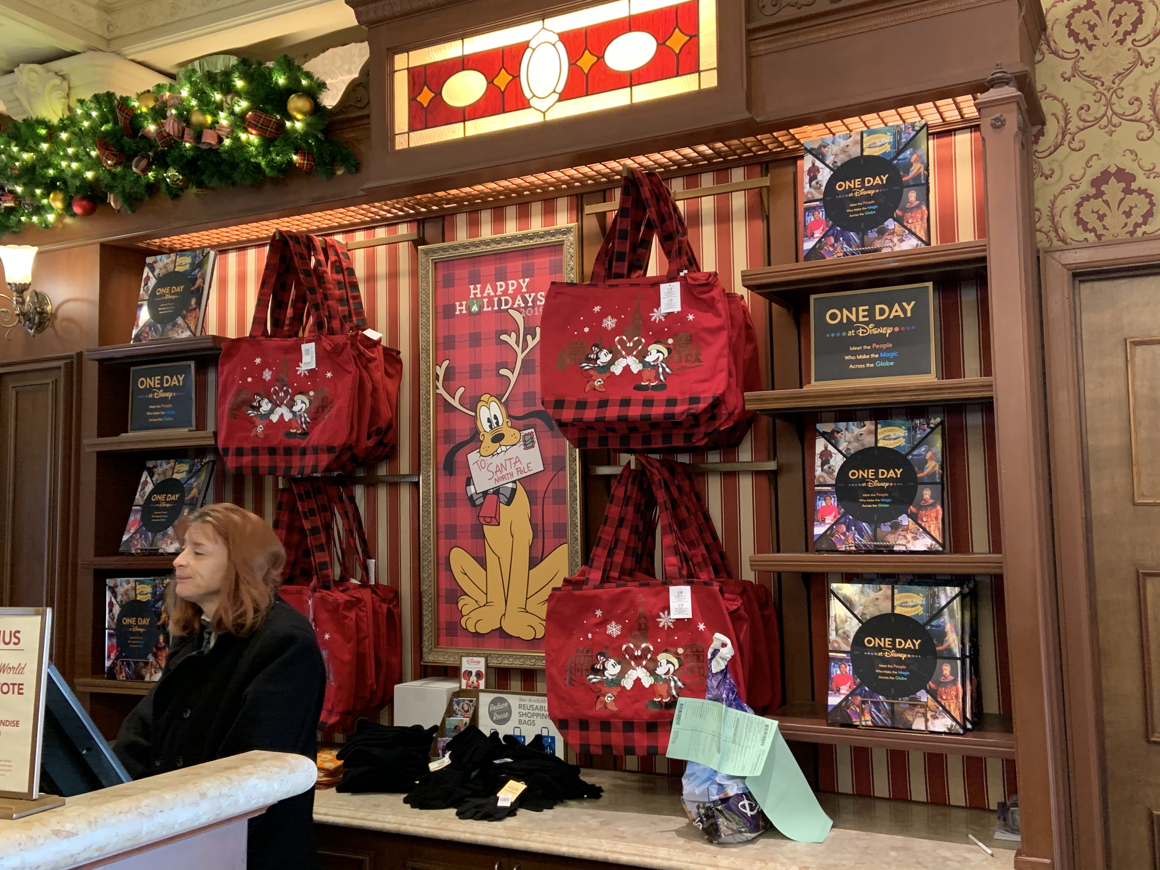 One Day at Disney book in Magic Kingdom 3