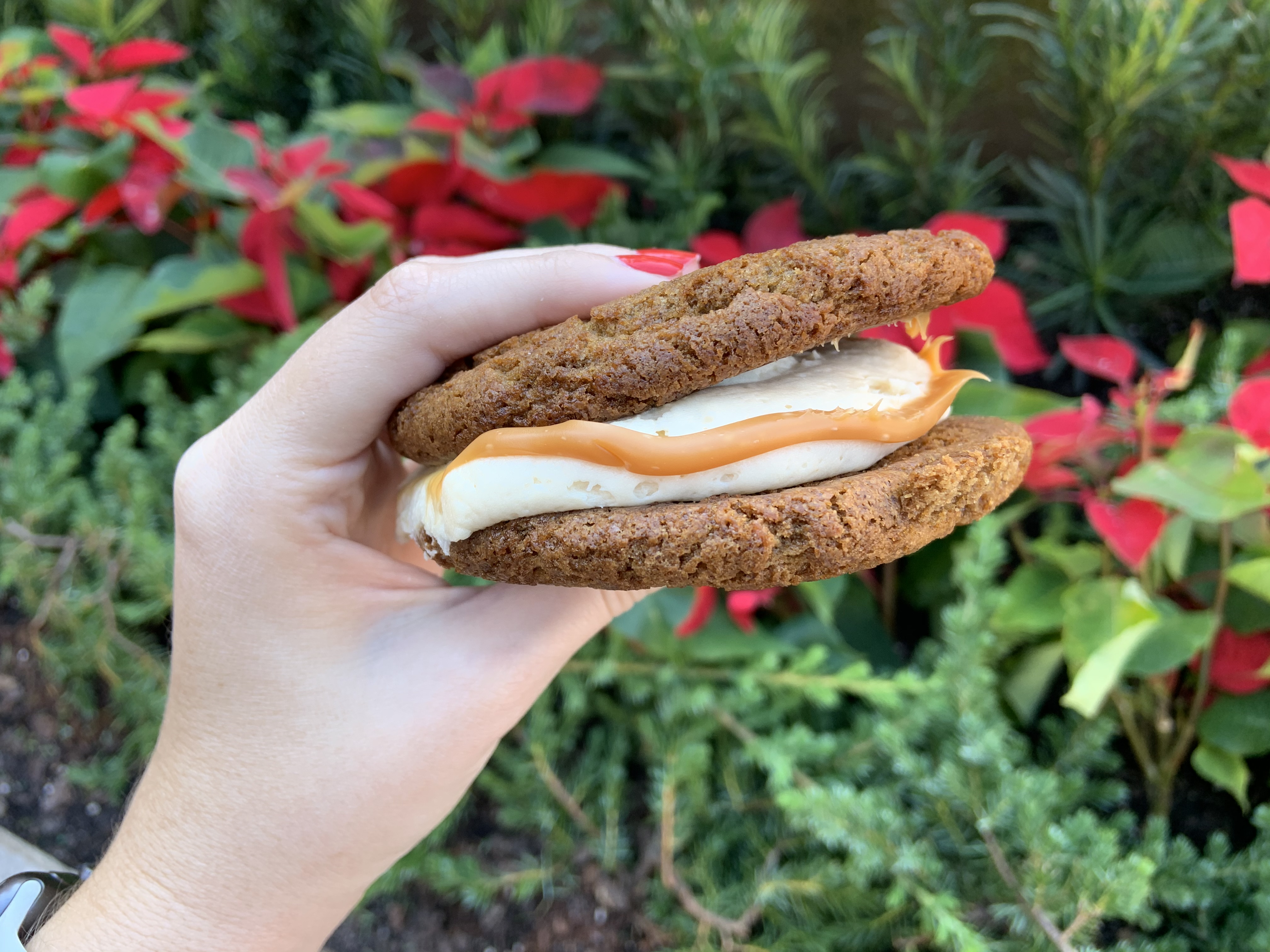 Gingerbread Cookie Sandwich Karamell Kuche 12/3/19 3