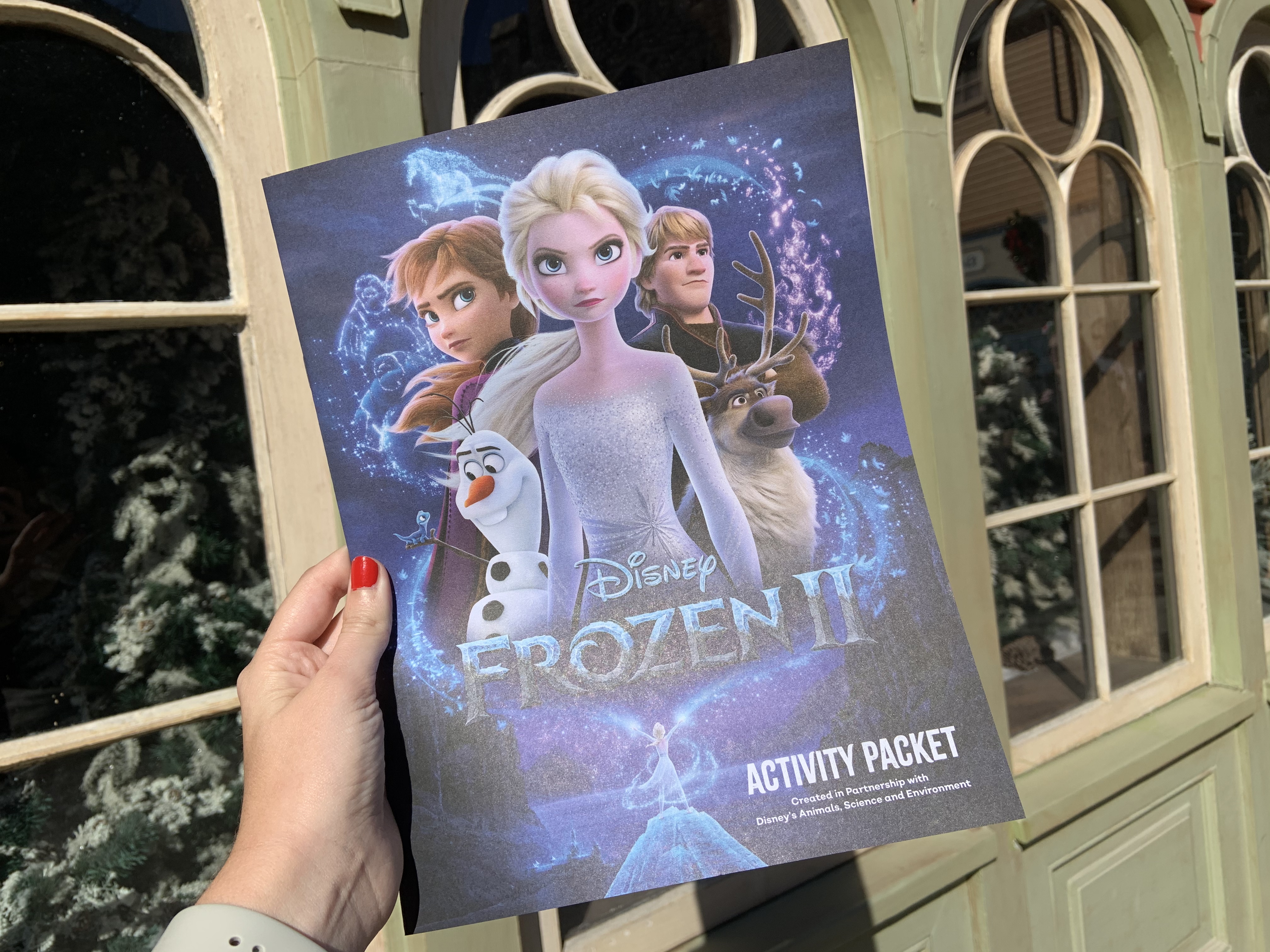 Frozen II activity book