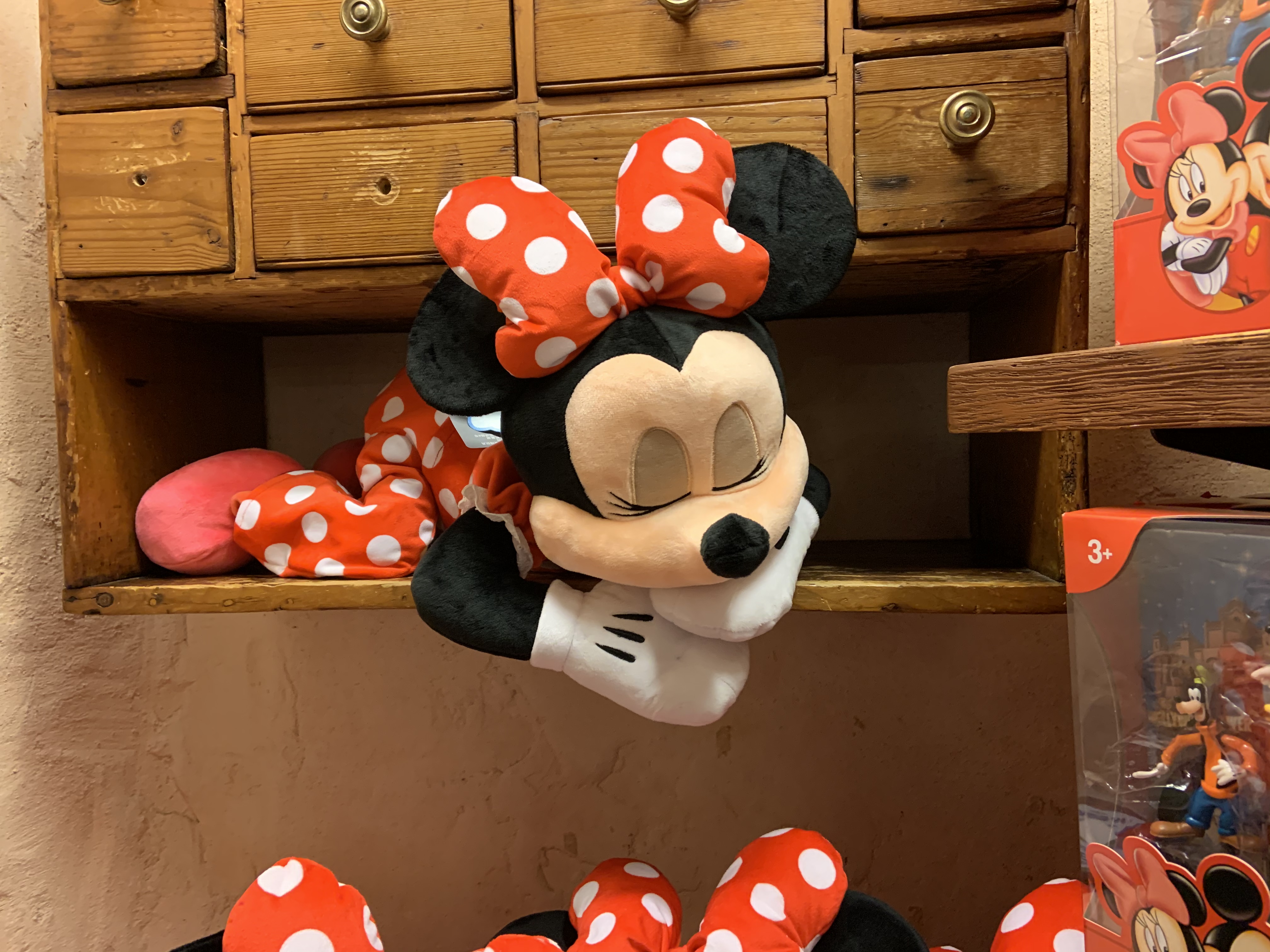 Sleeping Minnie Briar Patch 12/5/19 1