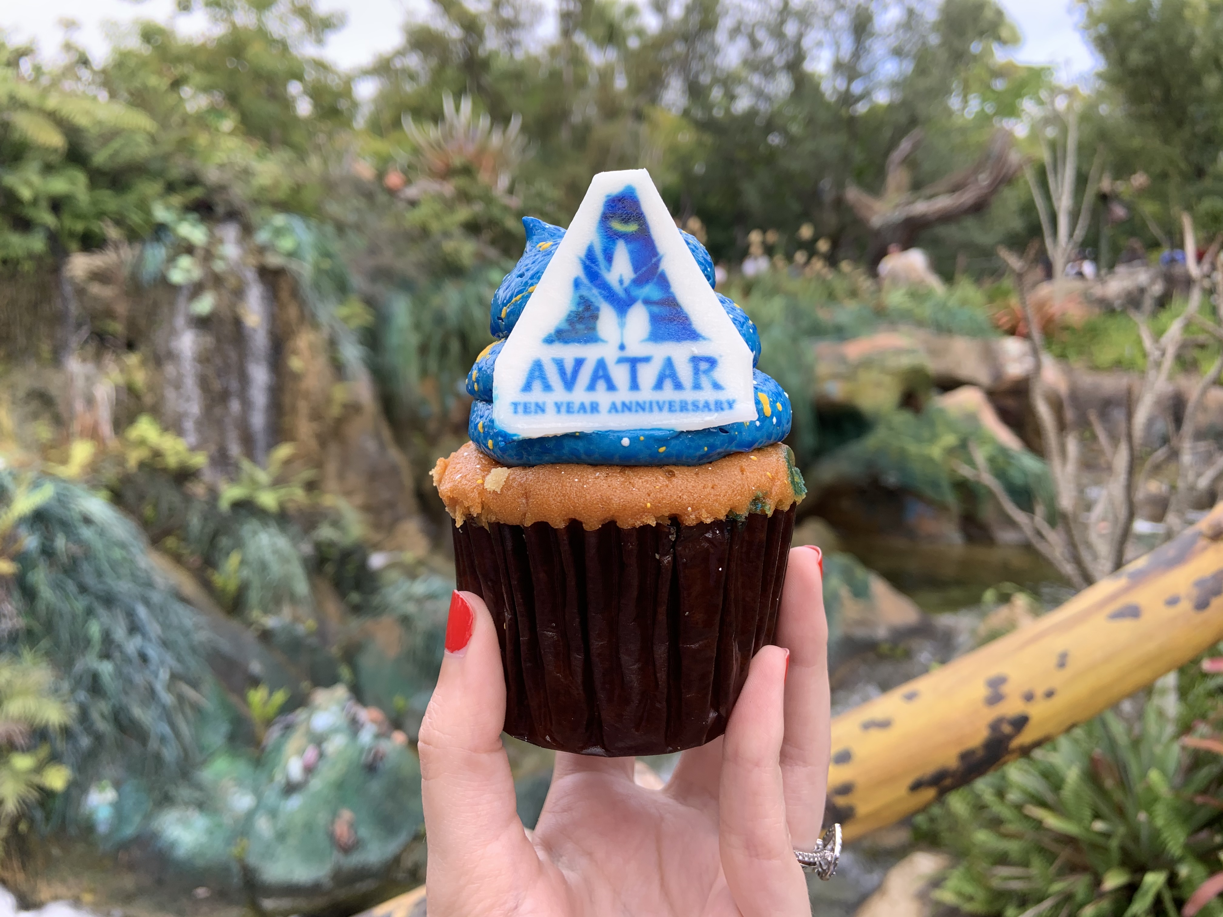 Avatar Anniversary Cupcake 12/17/19 5