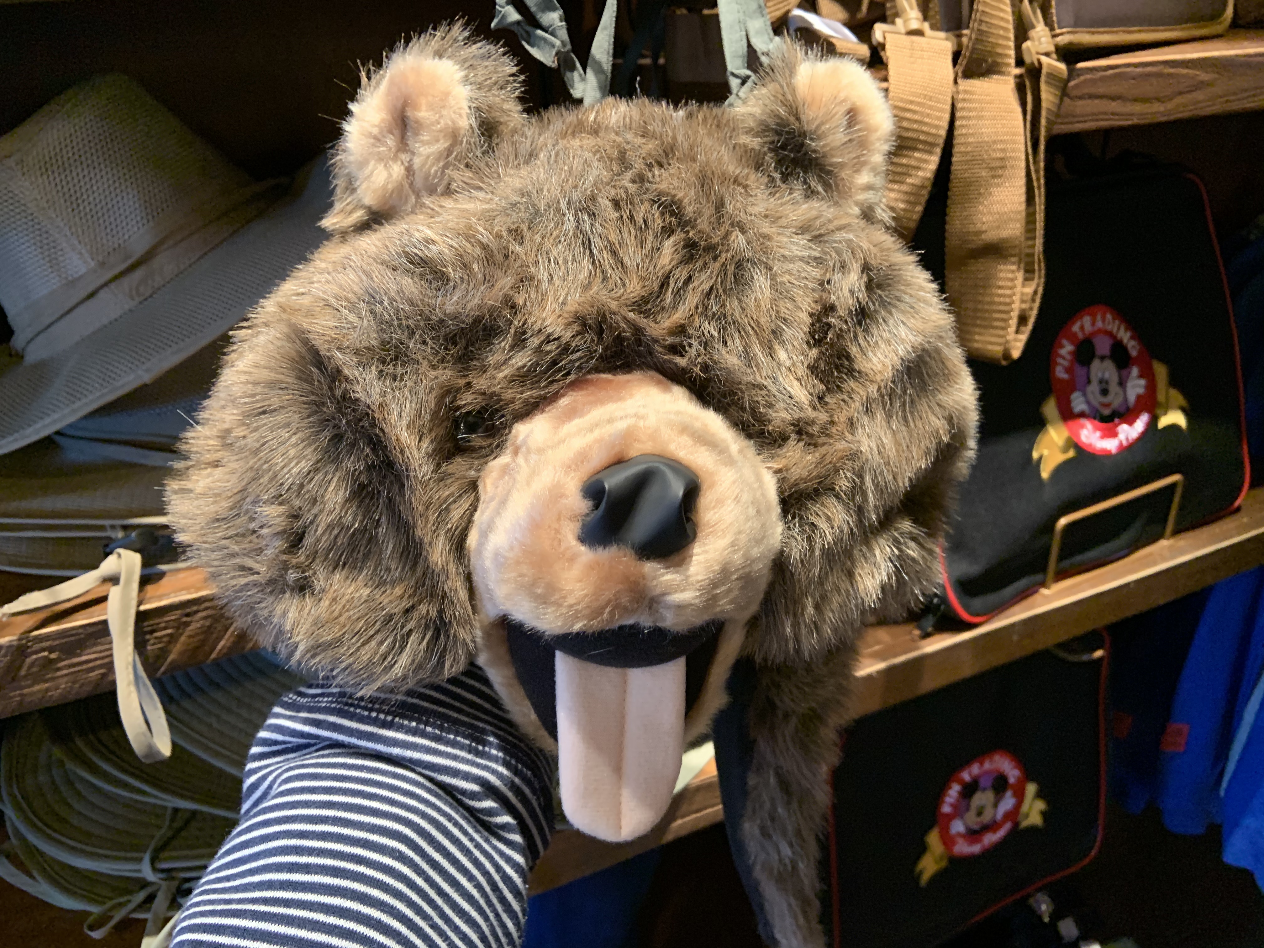 Bear Hat