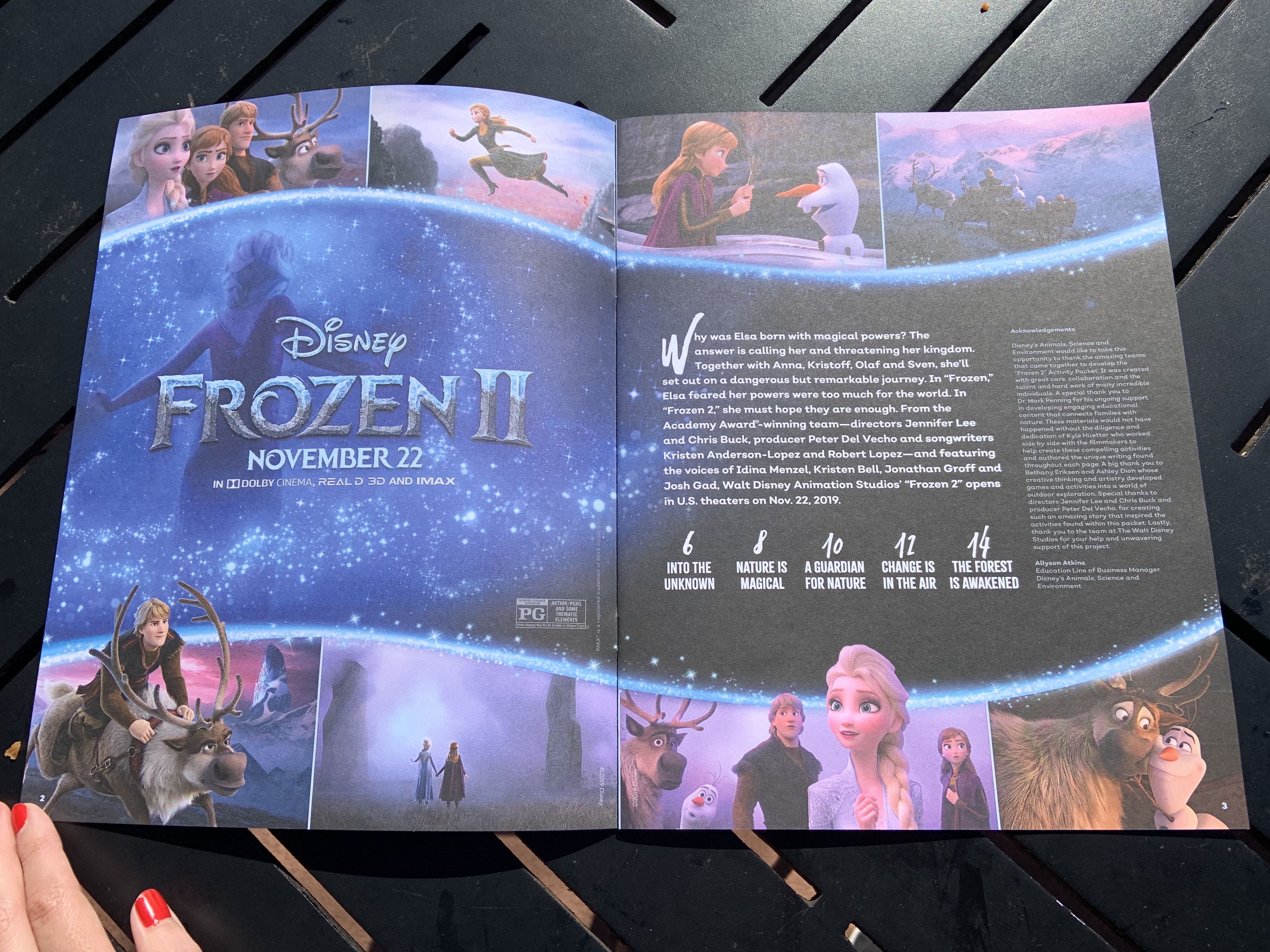 Frozen II activity book 2