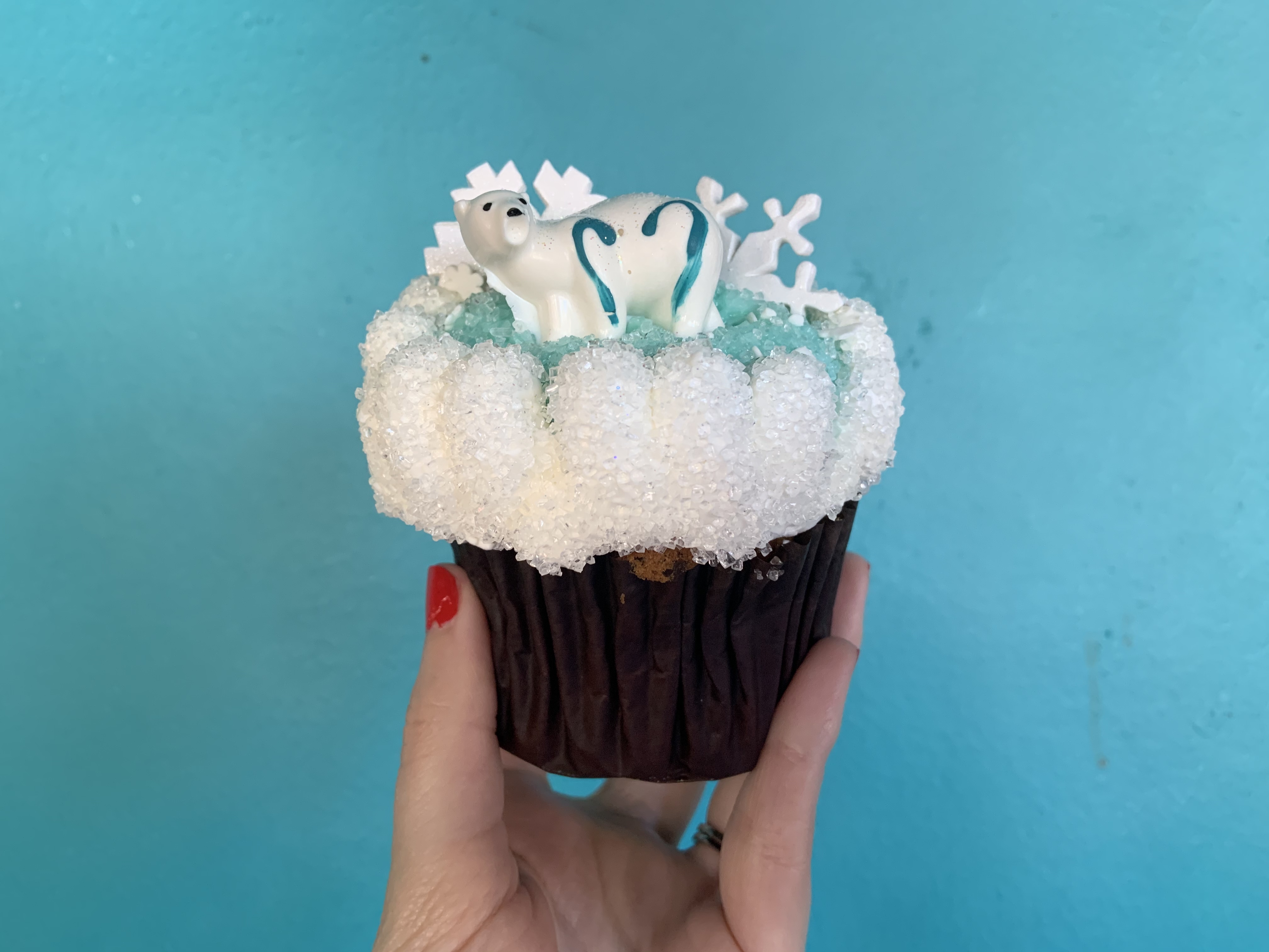 Merry Menagerie cupcake 12/7/19 13