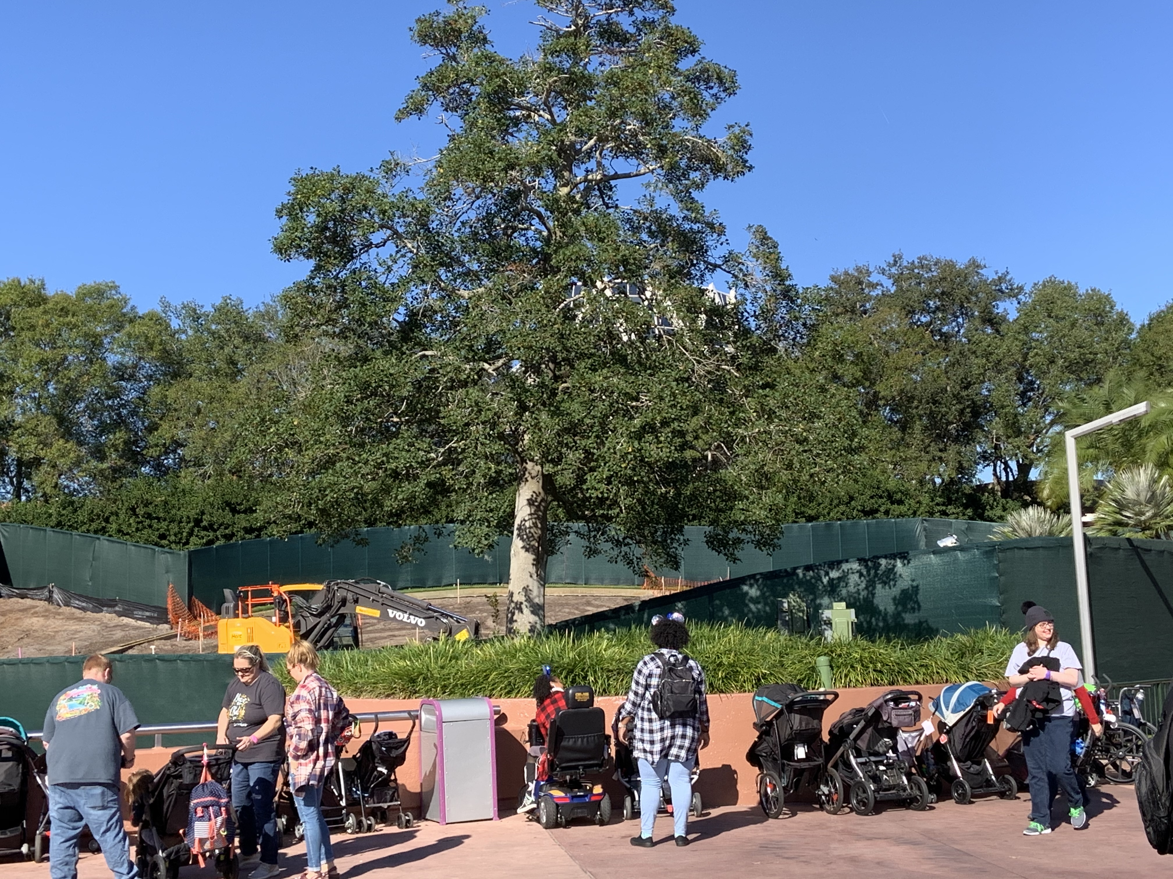 Imagination landscaping 12/2/19 6