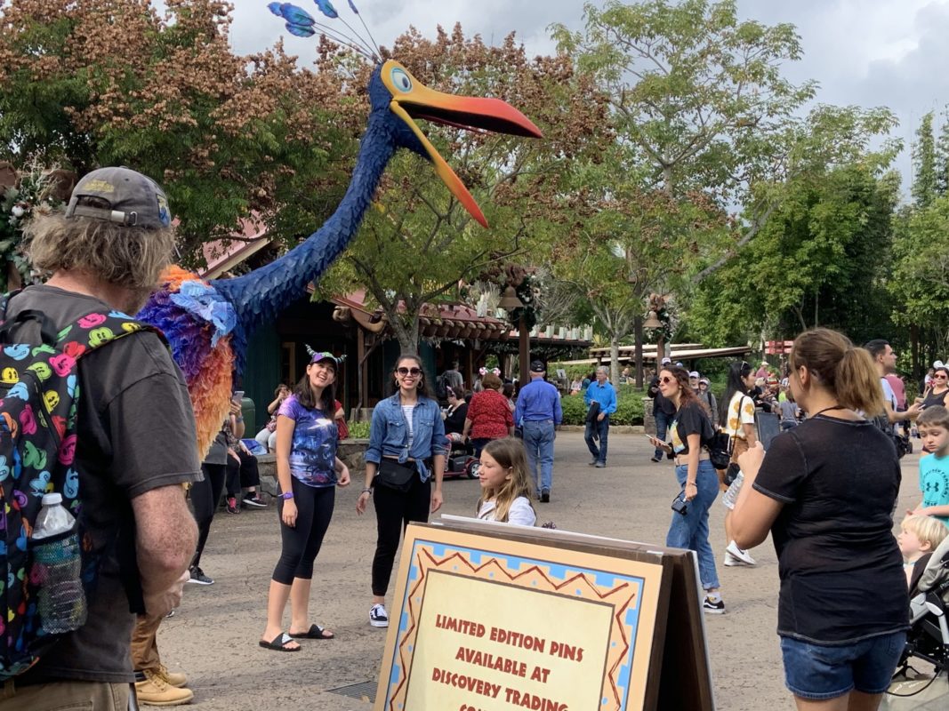 Kevin squawking 12/17/19