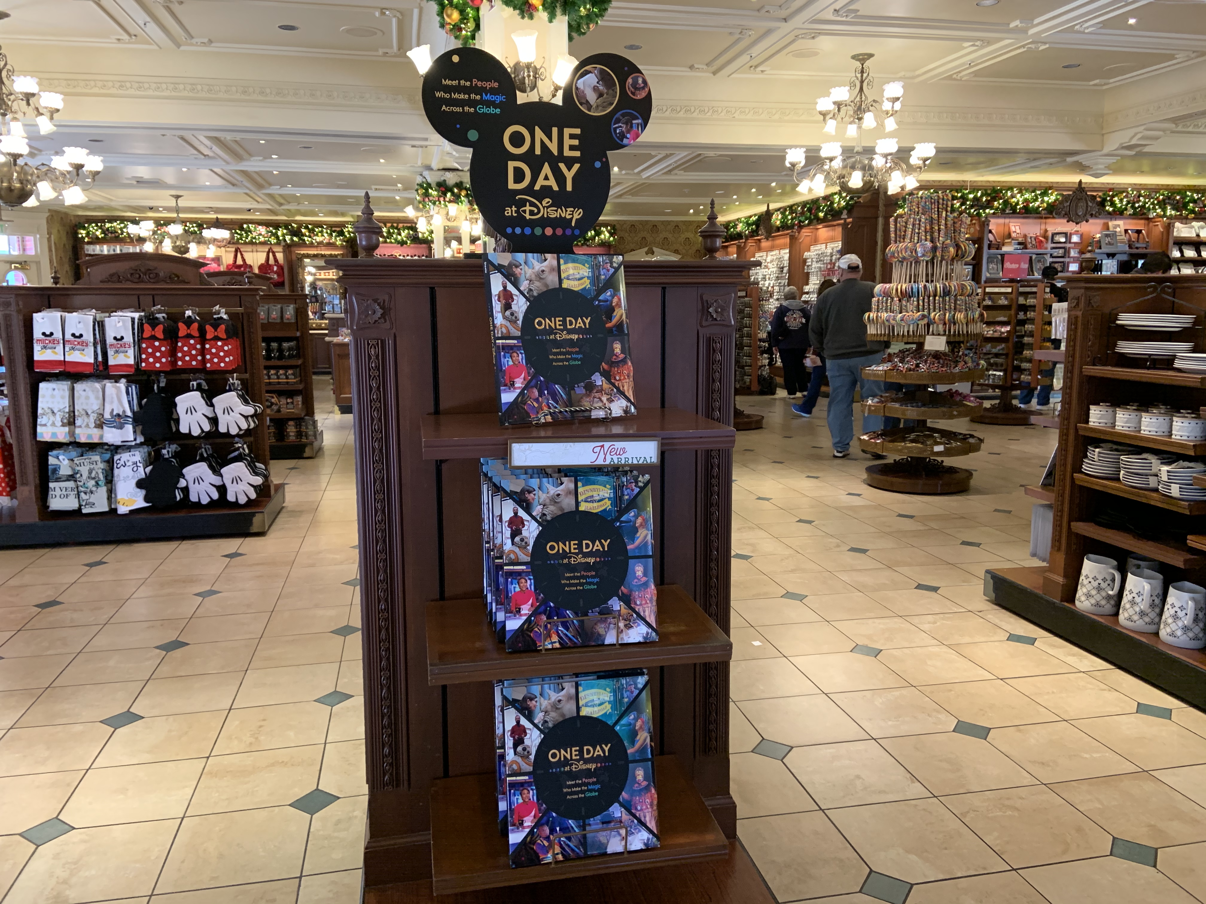 One Day at Disney book in Magic Kingdom 2