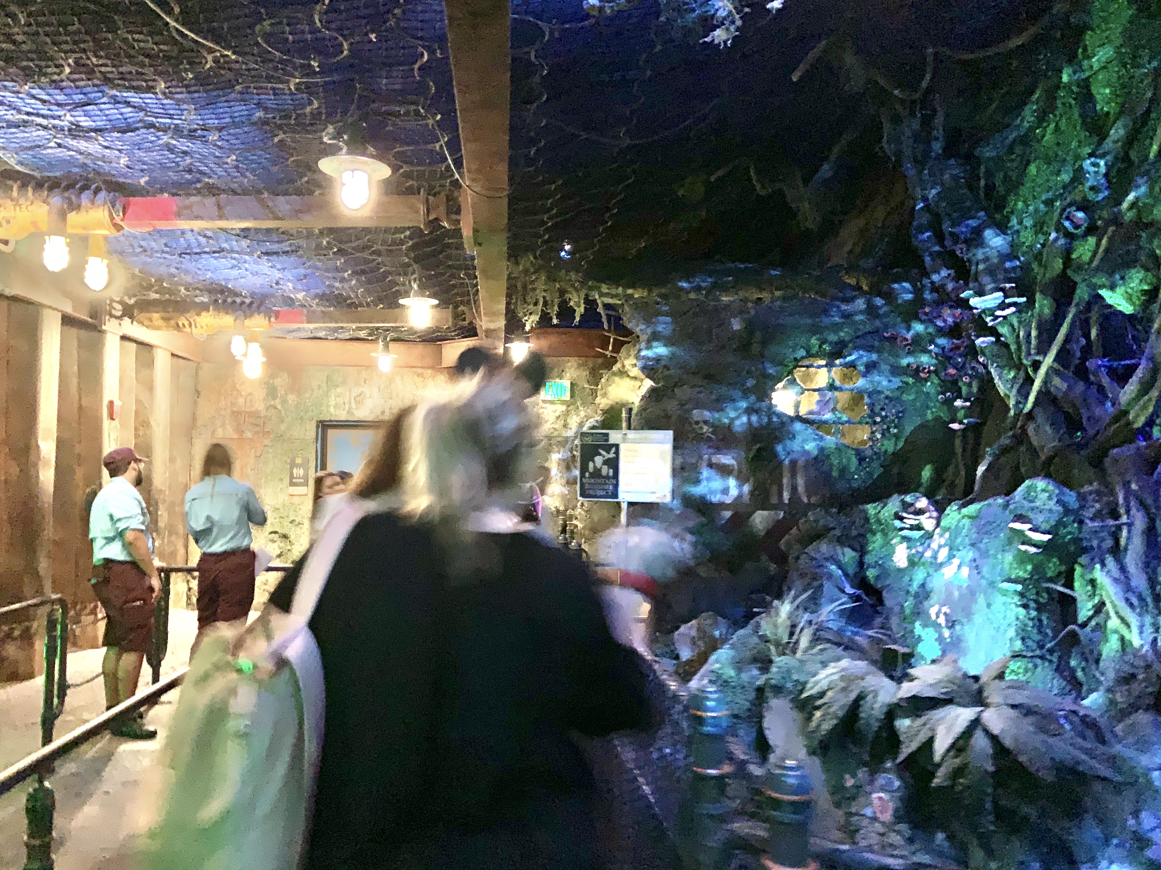 Flight of Passage restroom 12/17/19 6