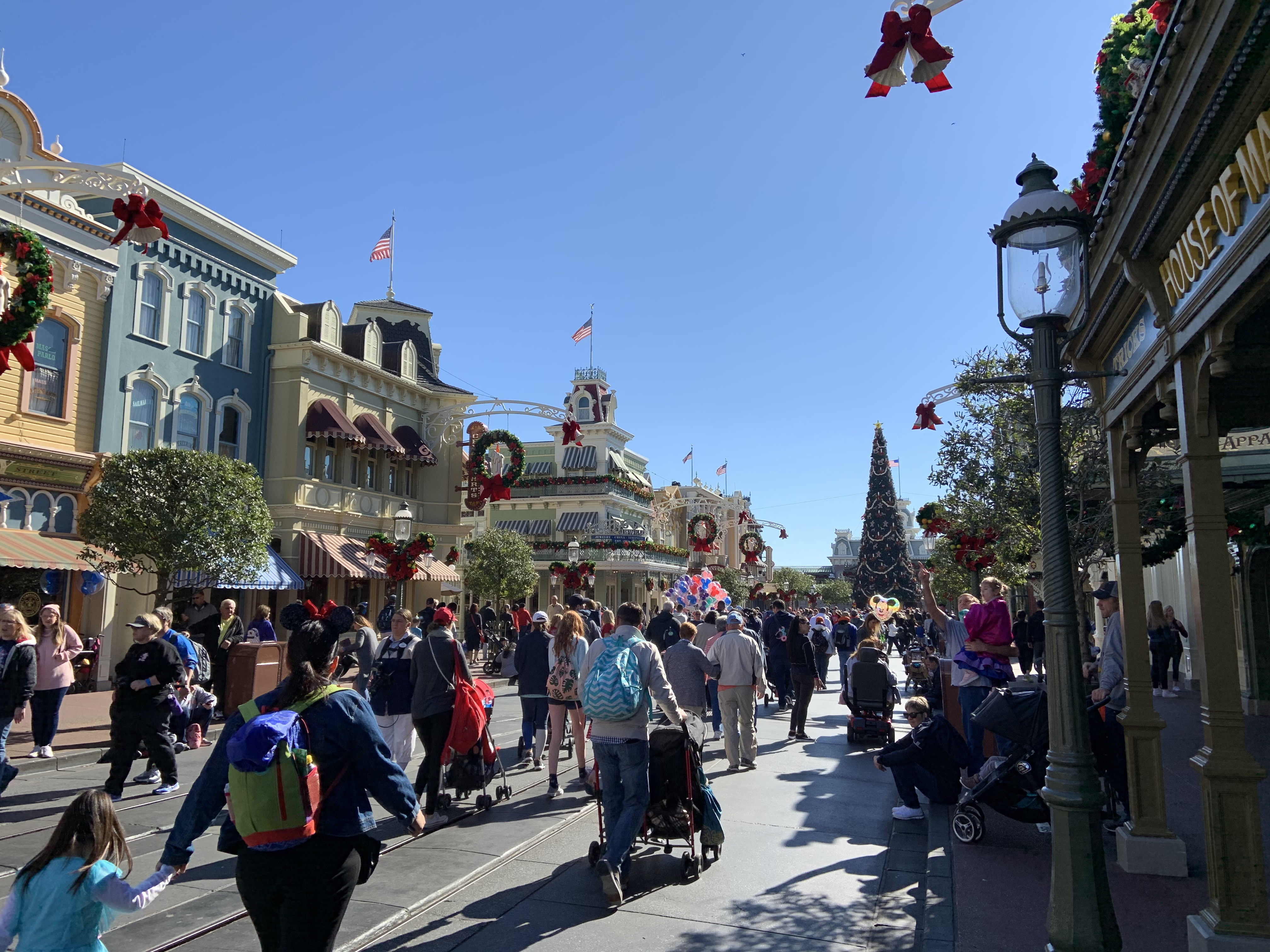Magic Kingdom 12/3/19 4