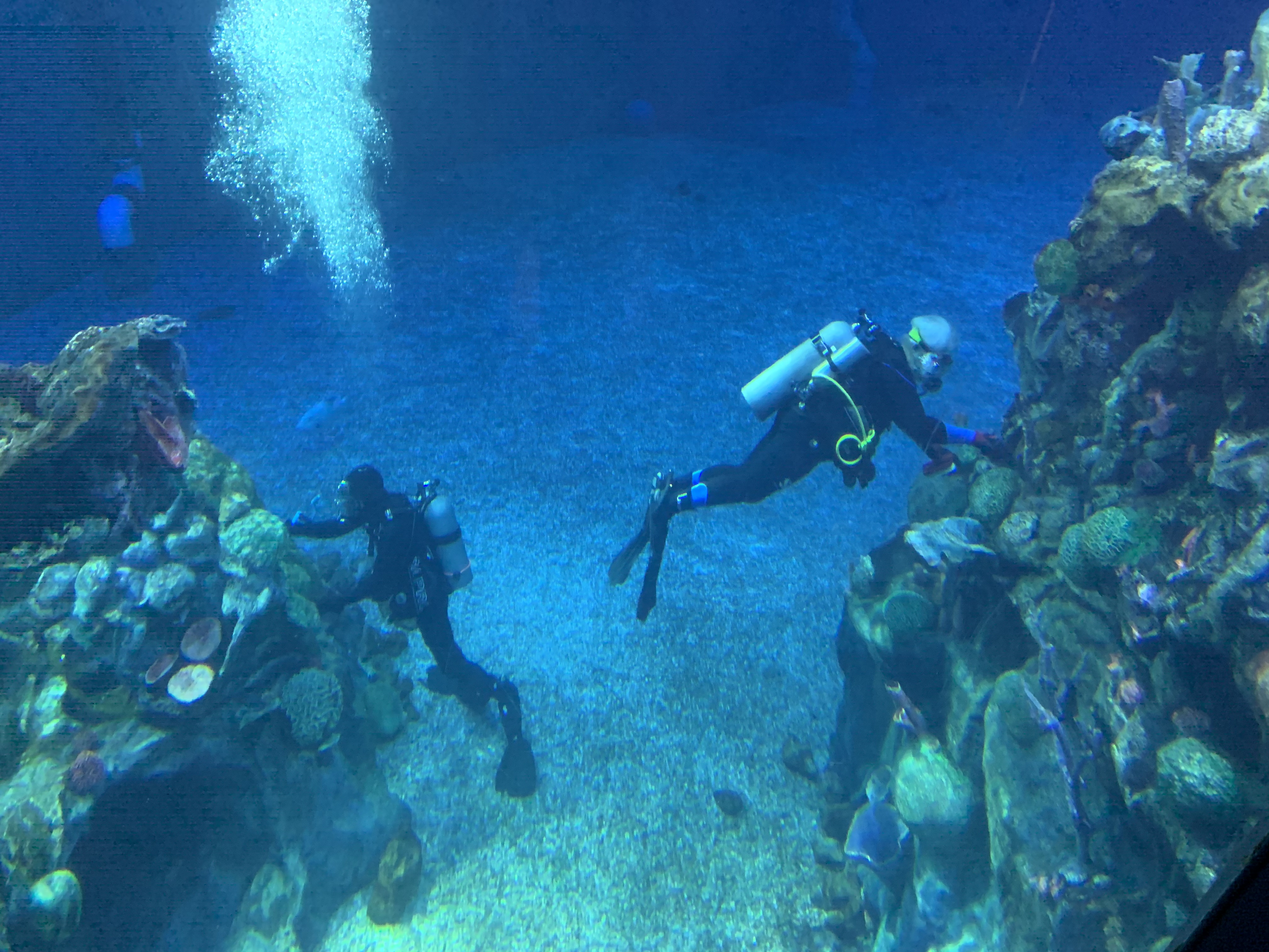 The seas 12/23/19 1