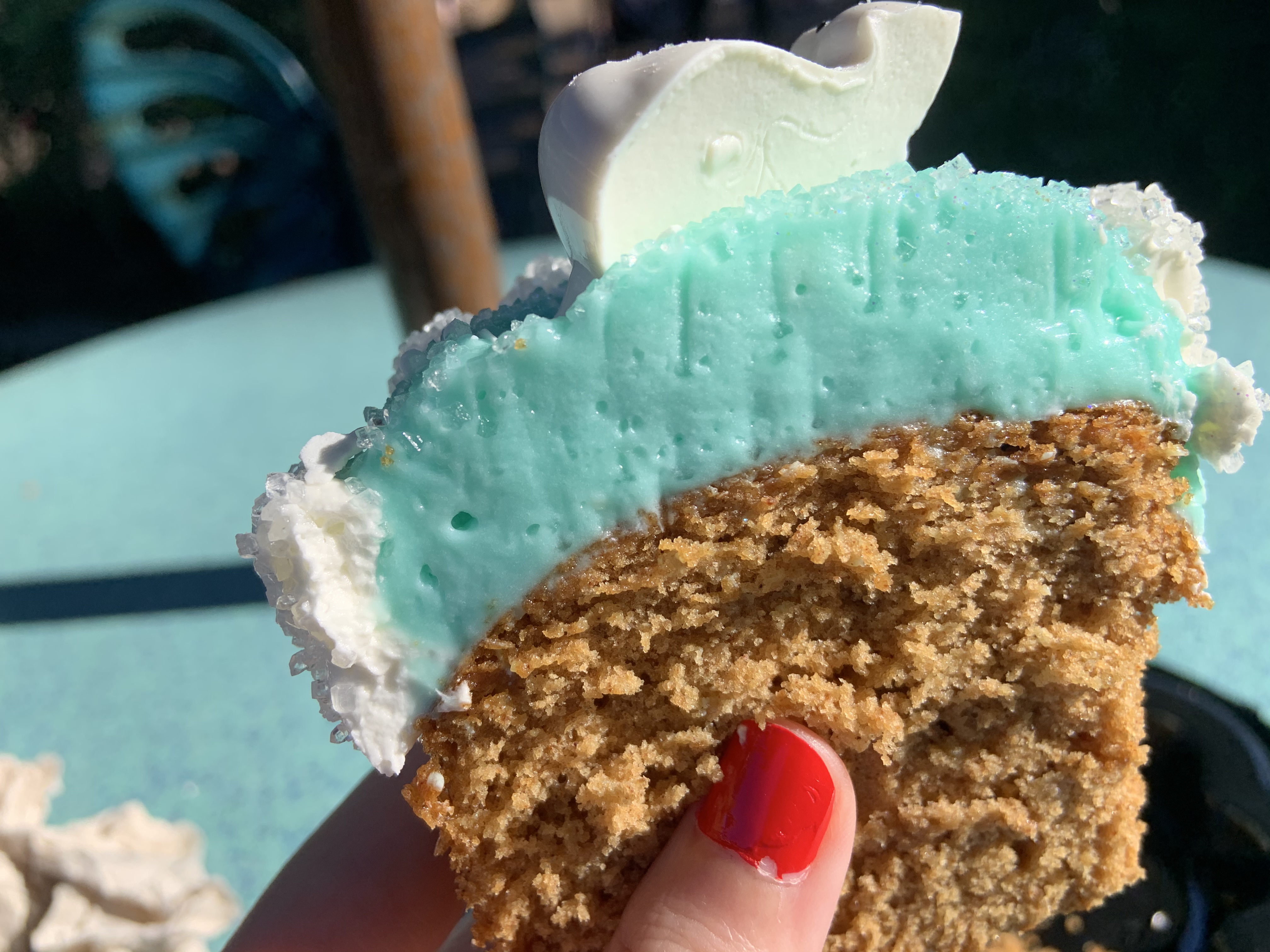 Merry Menagerie cupcake 12/7/19 18